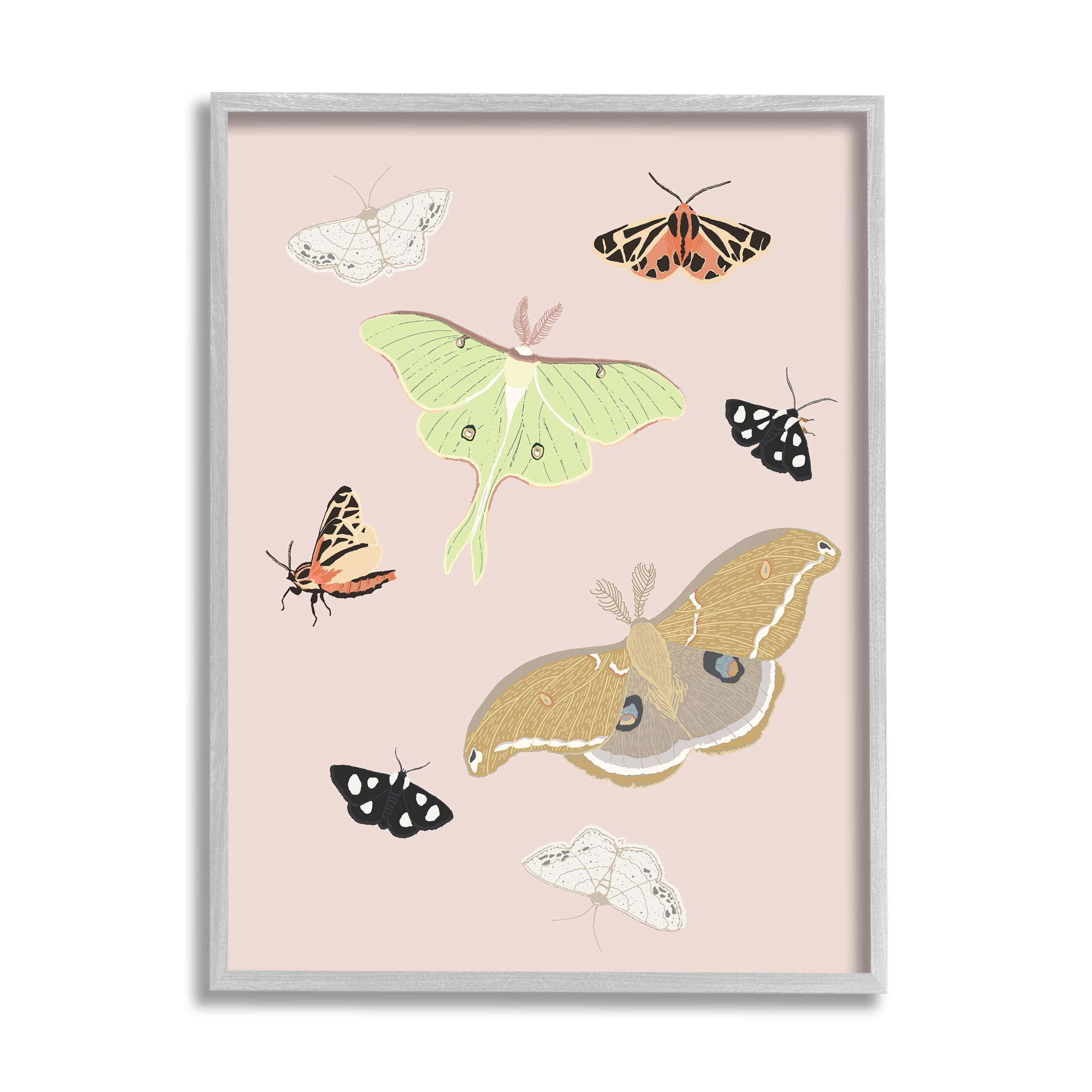 Stupell Industries Moths & Butterflies on Pink Animals & Insects Painting Gray Framed Art Print Wall Art, 24 x 30