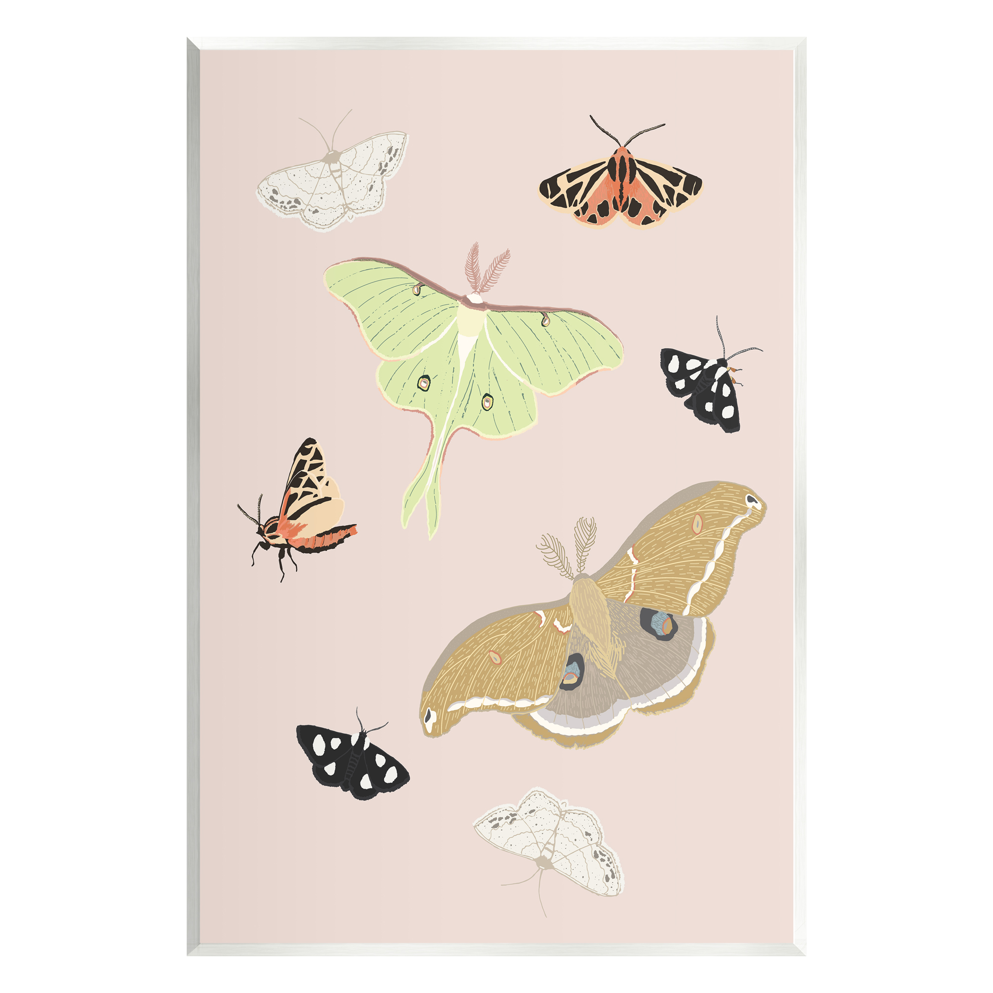 Stupell Industries Moths & Butterflies on Pink Animals & Insects Painting Unframed Art Print Wall Art, 13 x 19