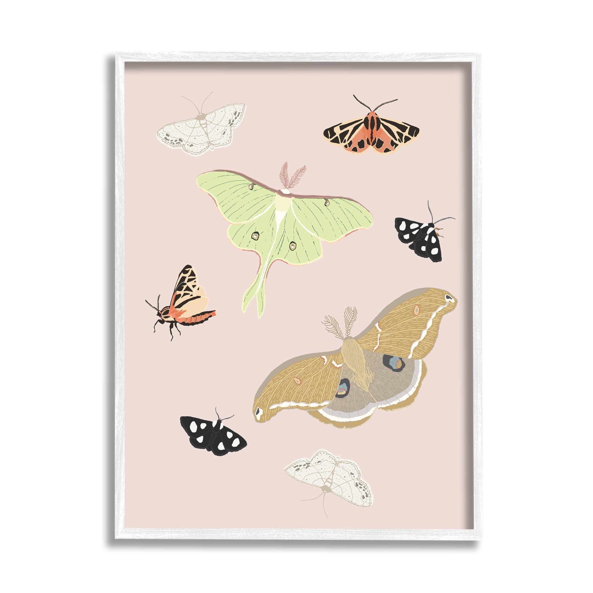 Stupell Industries Moths & Butterflies on Pink Animals & Insects Painting White Framed Art Print Wall Art, 24 x 30