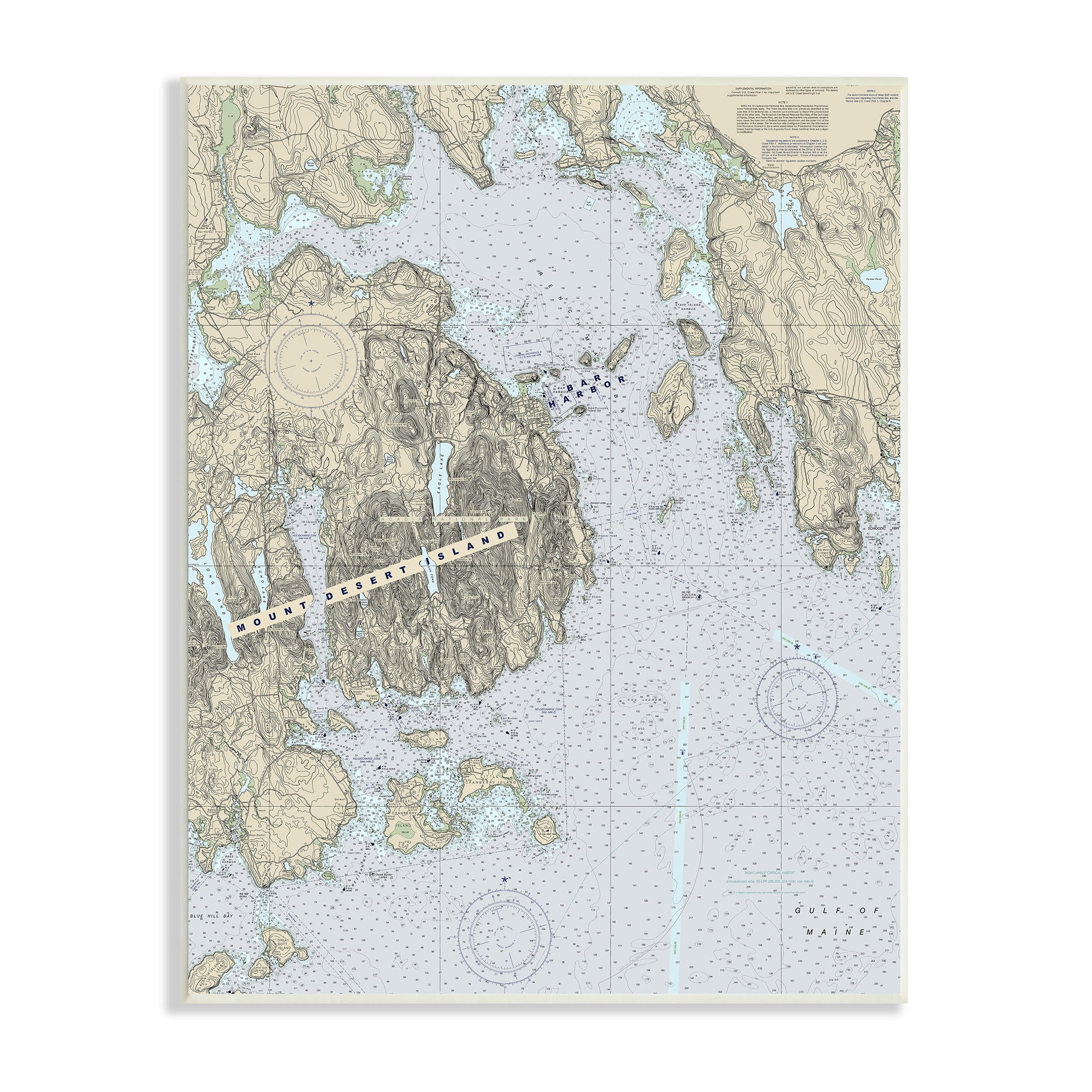 Stupell Industries Mount Desert Island Maine Coastal Map Traditional Cartography, 10 x 15, Designed by Daphne Polselli
