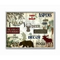 thumbnail image 1 of Stupell Industries Mountain Activities Forest Animals Camping Hunting Phrases Framed Wall Art Design by Kim Allen, 16" x 20", Gray Framed, 1 of 7
