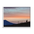 thumbnail image 1 of Stupell Industries Mountain Elk Sunset Silhouette Blush Orange Skyline Cabin Photography White Framed Art Print Wall Art, 16 x 20, Design by Larry McFerrin, 1 of 7