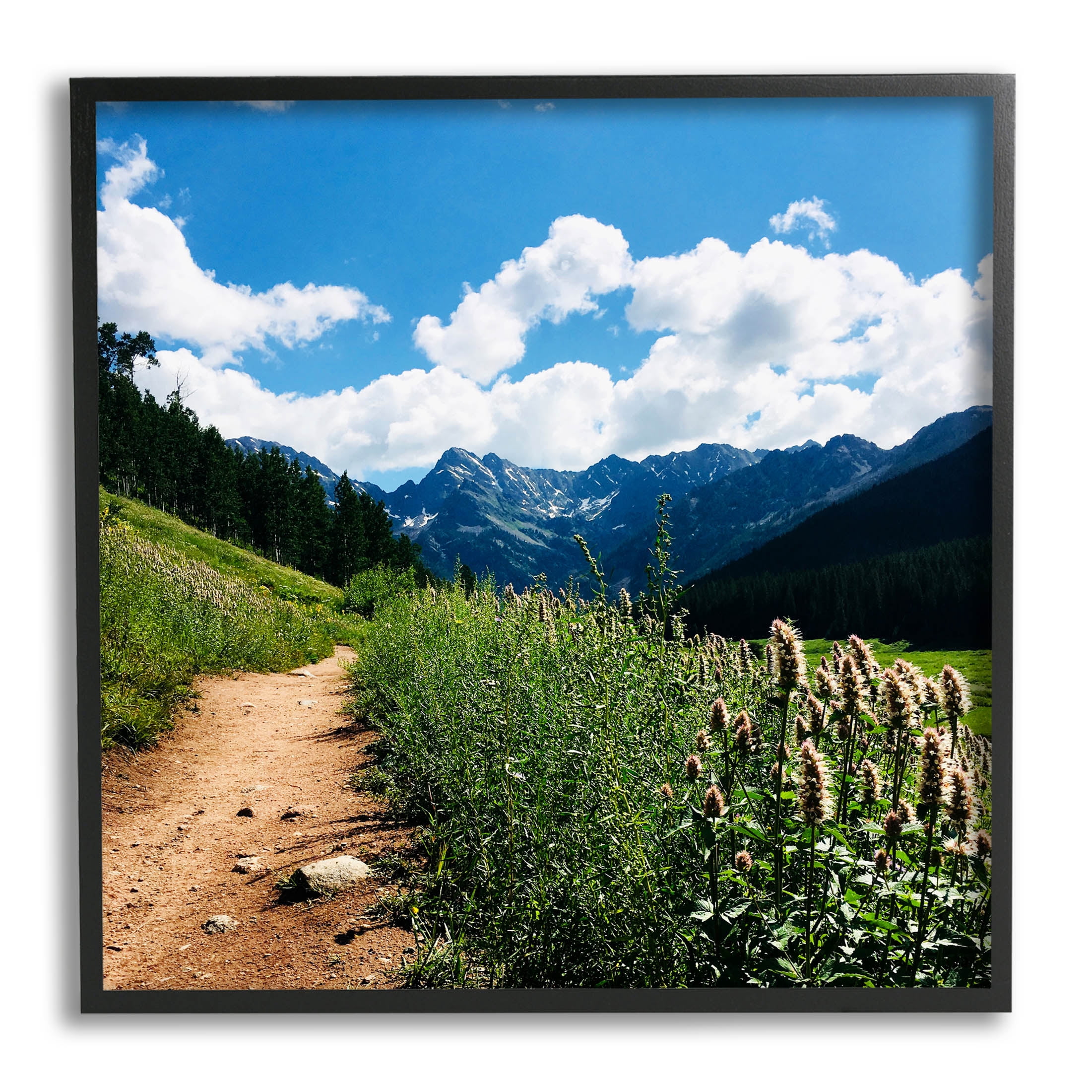 Stupell Industries Mountain Field Nature Path Photograph Black Framed Art Print Wall Art, Design by Anna Coppel