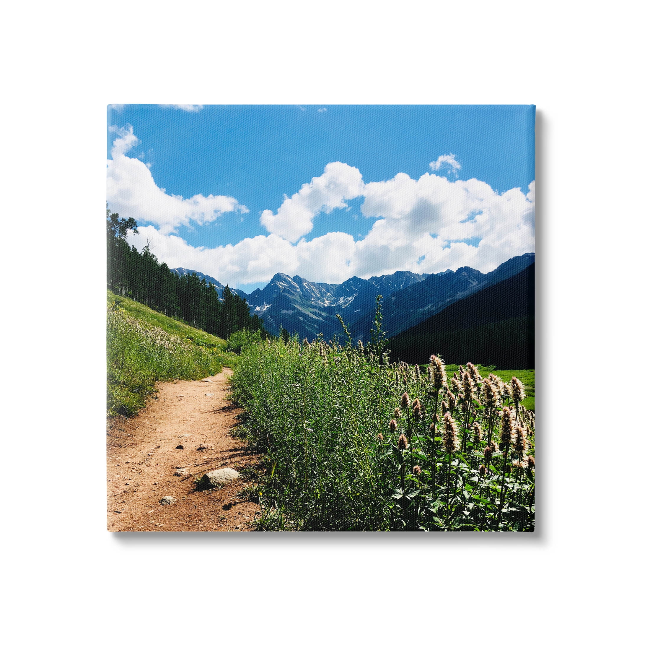 Stupell Industries Mountain Field Nature Path Photograph Gallery Wrapped Canvas Print Wall Art, Design by Anna Coppel