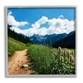 thumbnail image 1 of Stupell Industries Mountain Field Nature Path Photograph Gray Framed Art Print Wall Art, Design by Anna Coppel, 1 of 7