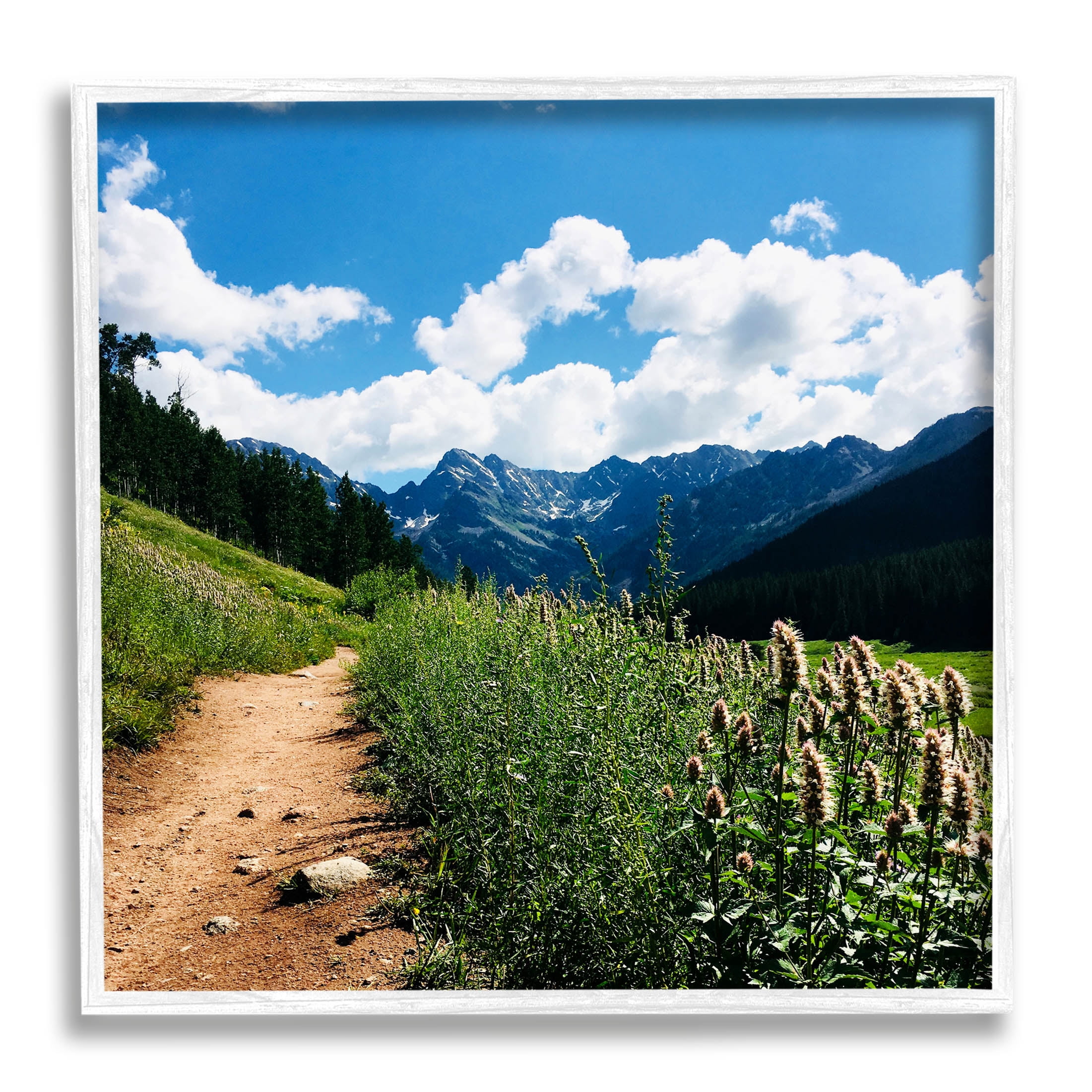 Stupell Industries Mountain Field Nature Path Photograph White Framed Art Print Wall Art, Design by Anna Coppel