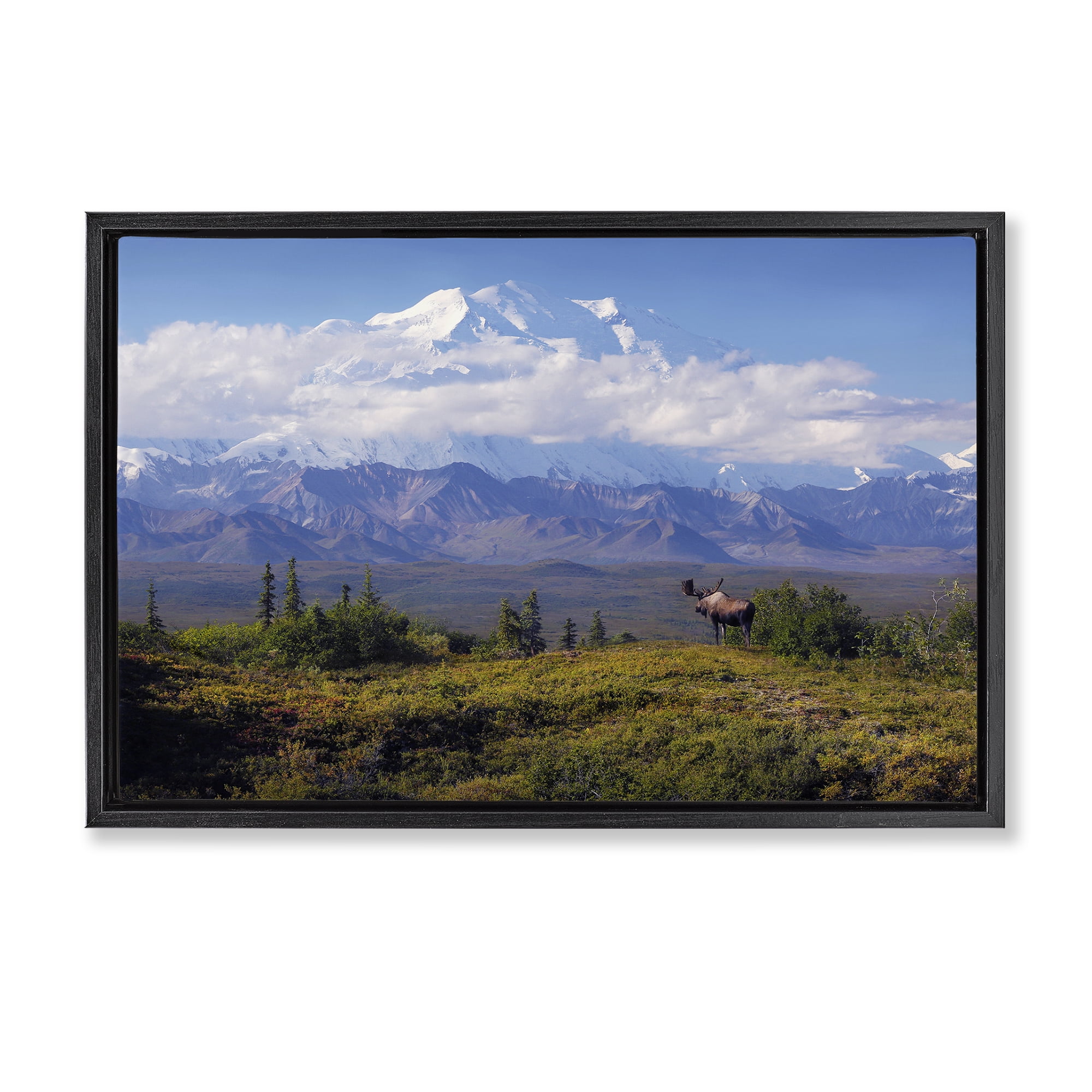 Stupell Industries Mountain Majesty Moose Landscape & Nature Photography Black Floater Framed Canvas Art Print Wall Art, 25 x 17