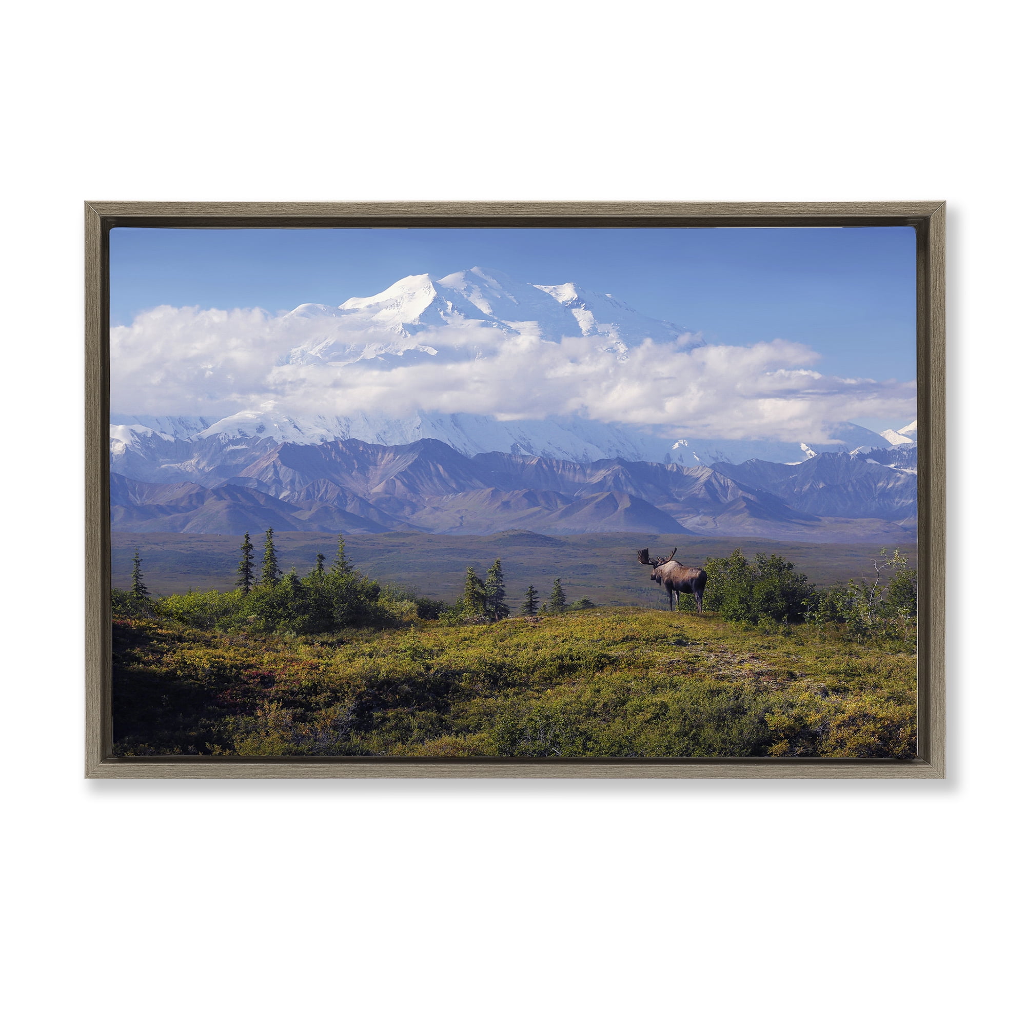 Stupell Industries Mountain Majesty Moose Landscape & Nature Photography Brown Floater Framed Canvas Art Print Wall Art, 31 x 21