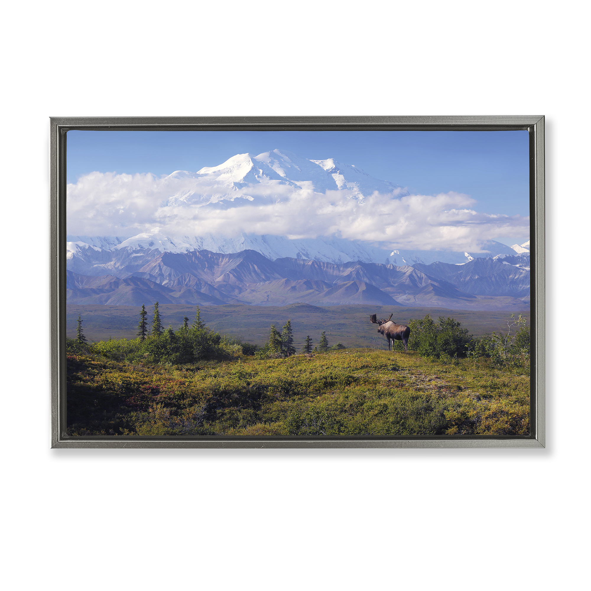 Stupell Industries Mountain Majesty Moose Landscape & Nature Photography Gray Floater Framed Canvas Art Print Wall Art, 25 x 17