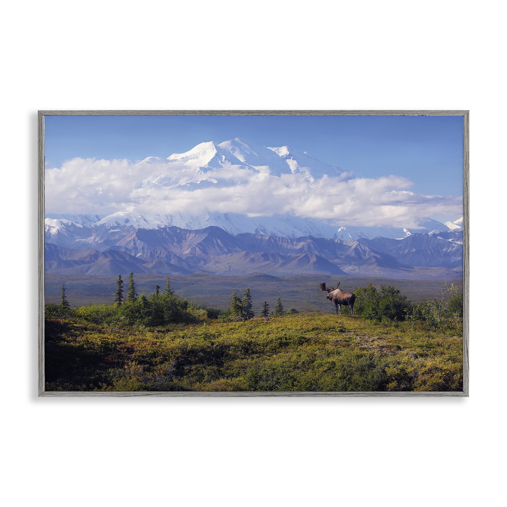 Stupell Industries Mountain Majesty Moose Landscape & Nature Photography Gray Framed Art Print Wall Art, 24 x 16