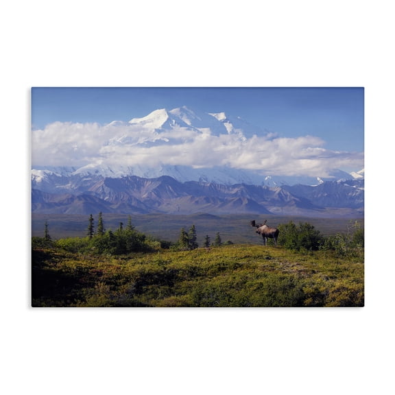 Stupell Industries Mountain Majesty Moose Landscape & Nature Photography Wrapped Canvas Art Print Wall Art, 36 x 24