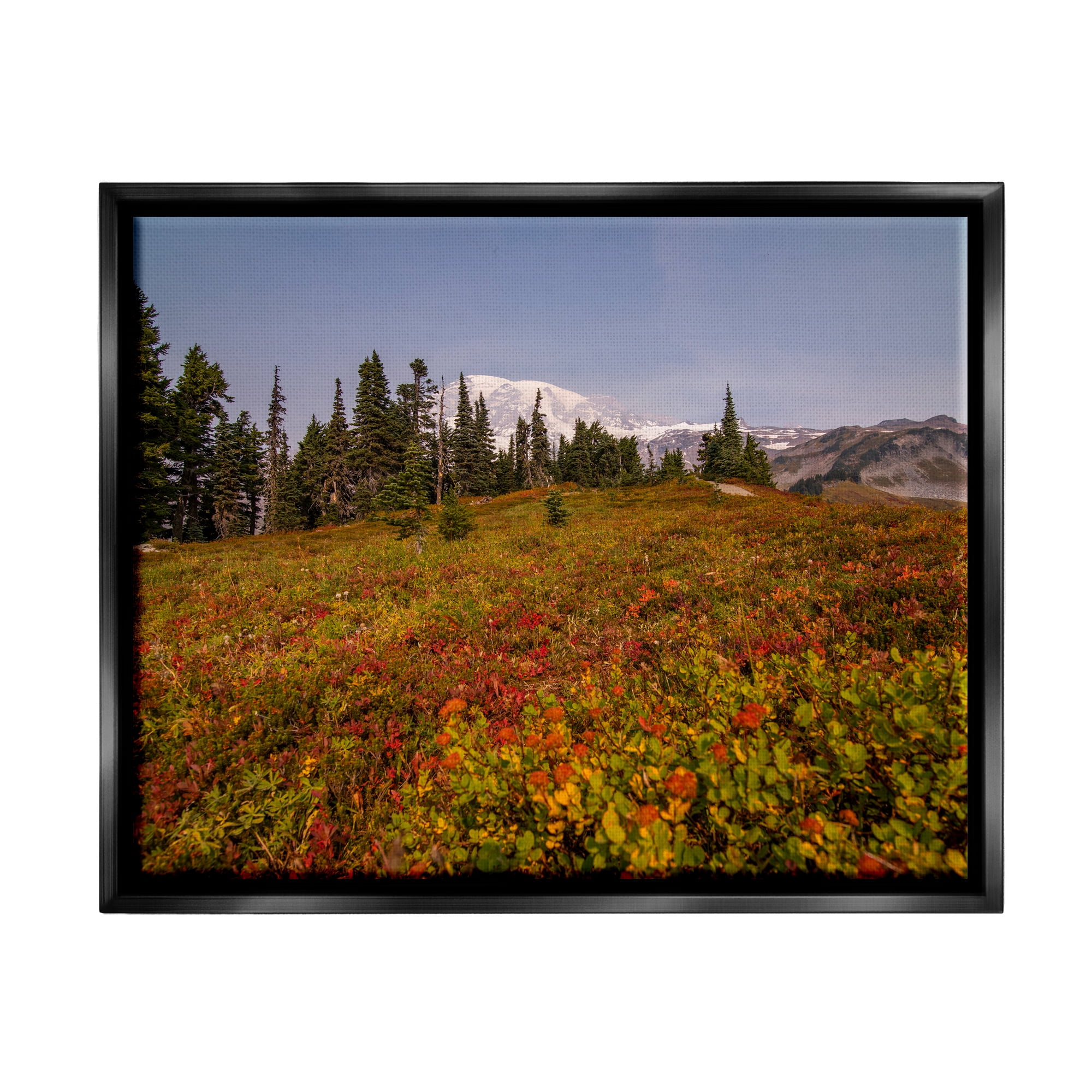 Stupell Industries Mountain Meadow Scenery Nature Photography Black Floater Framed Art Print Wall Art, 31 x 25