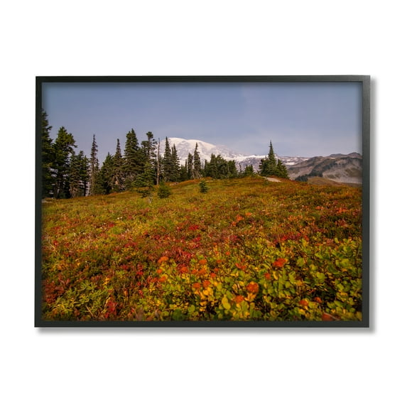 Stupell Industries Mountain Meadow Scenery Nature Photography Black Framed Art Print Wall Art, 14 x 11
