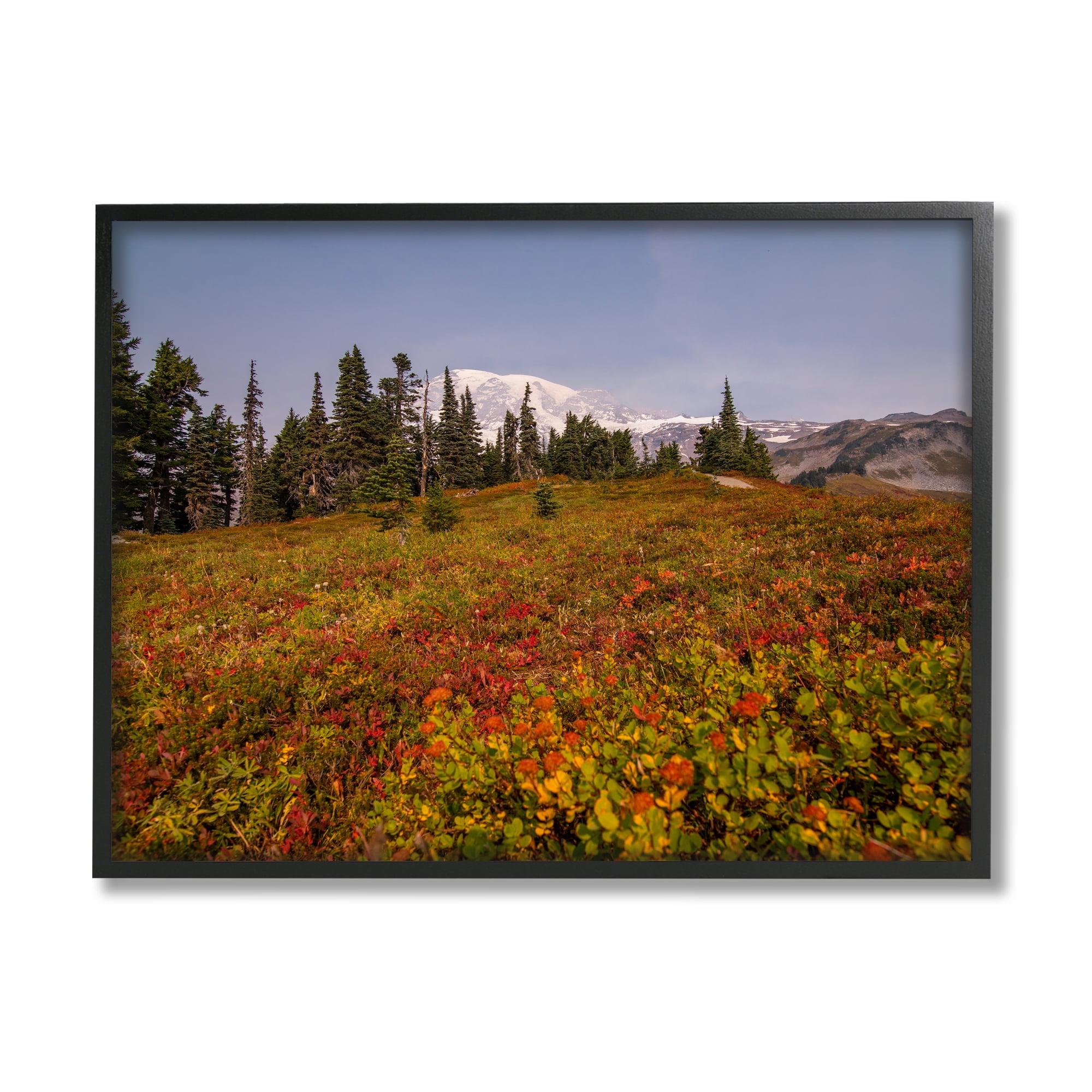 Stupell Industries Mountain Meadow Scenery Nature Photography Black Framed Art Print Wall Art, 30 x 24