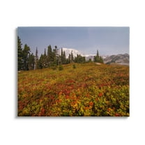 Stupell Industries Mountain Meadow Scenery Nature Photography Gallery Wrapped Canvas Print Wall Art, 20 x 16