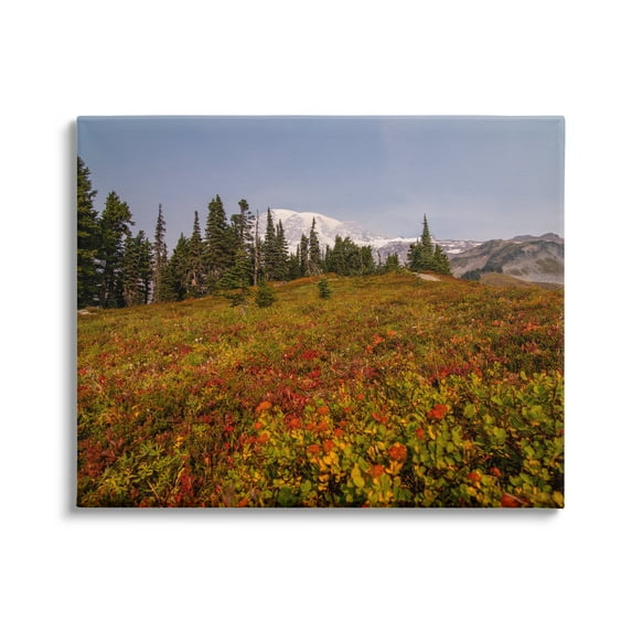 Stupell Industries Mountain Meadow Scenery Nature Photography Gallery Wrapped Canvas Print Wall Art, 20 x 16