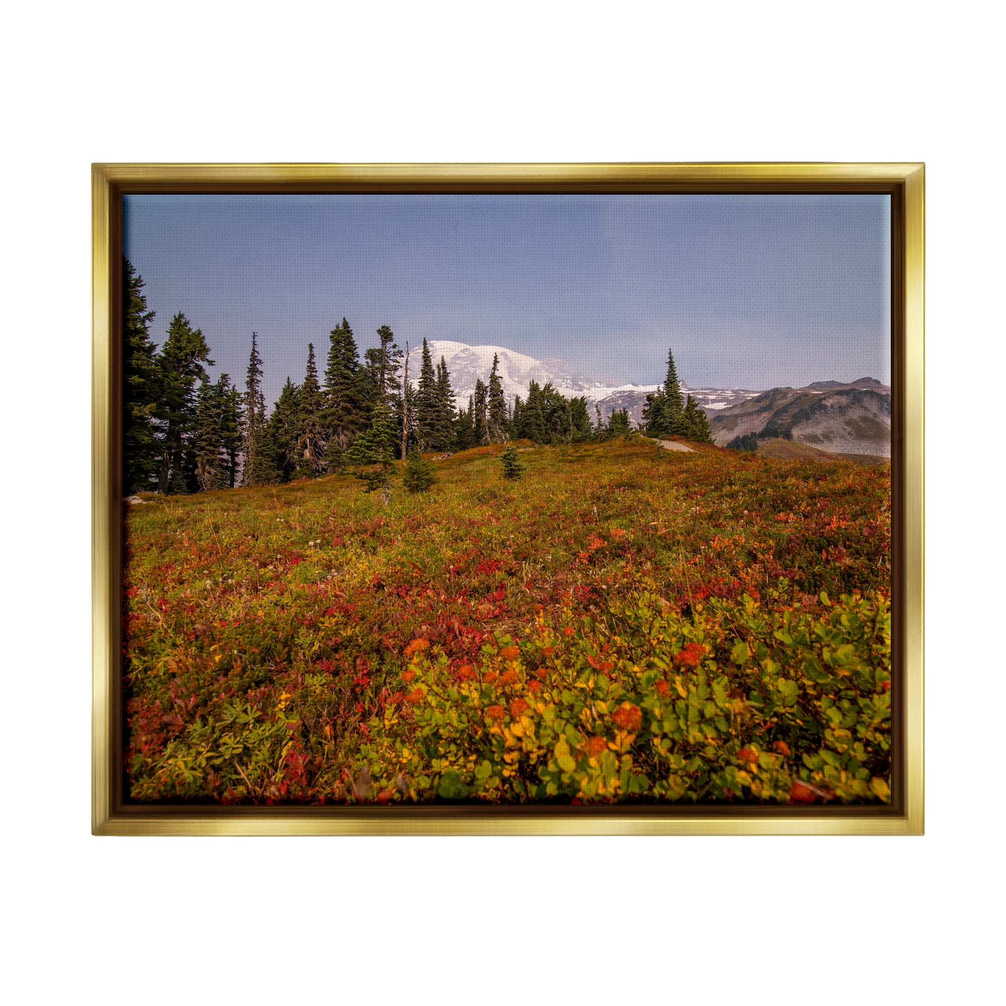 Stupell Industries Mountain Meadow Scenery Nature Photography Gold Floater Framed Art Print Wall Art, 31 x 25