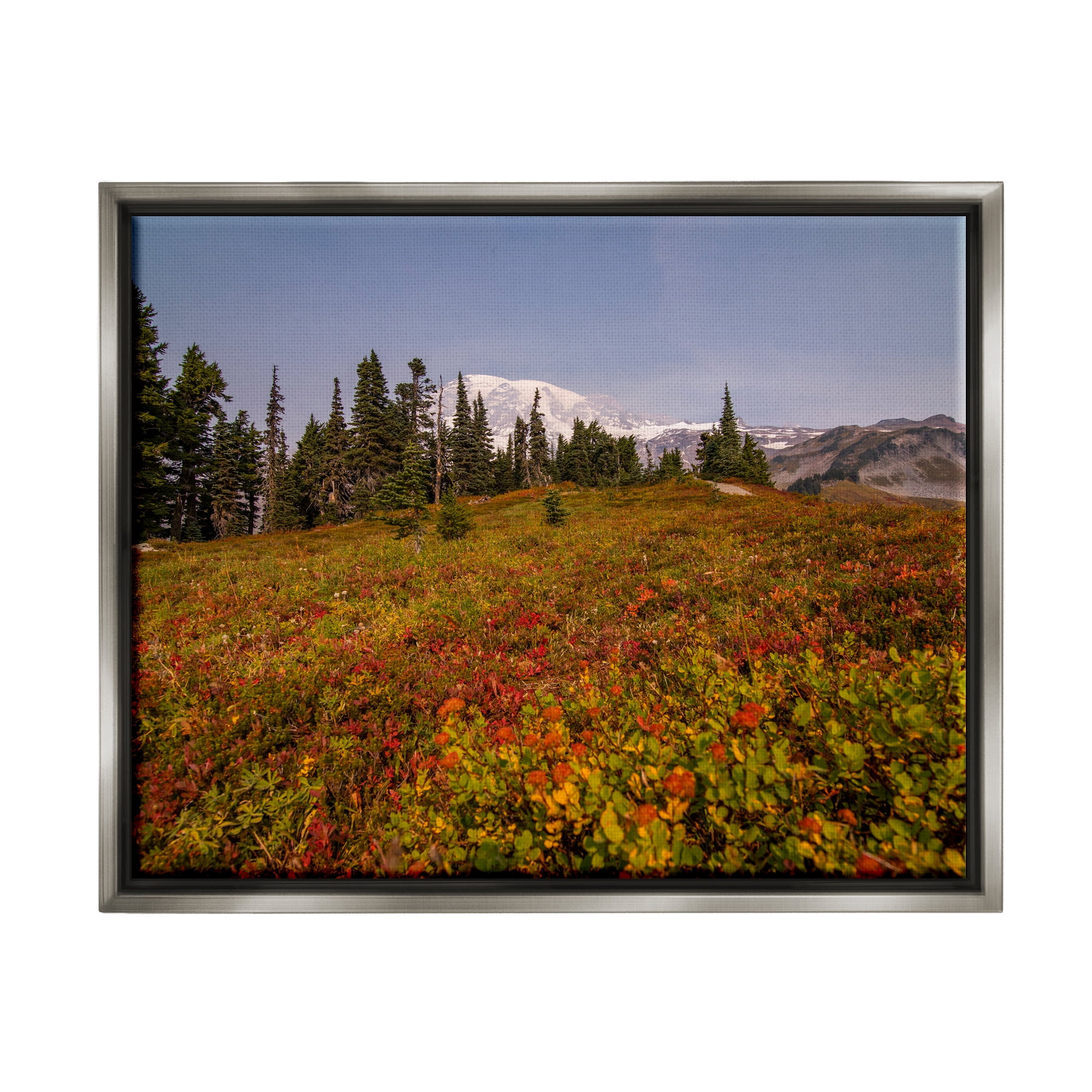 Stupell Industries Mountain Meadow Scenery Nature Photography Gray Floater Framed Art Print Wall Art, 21 x 17