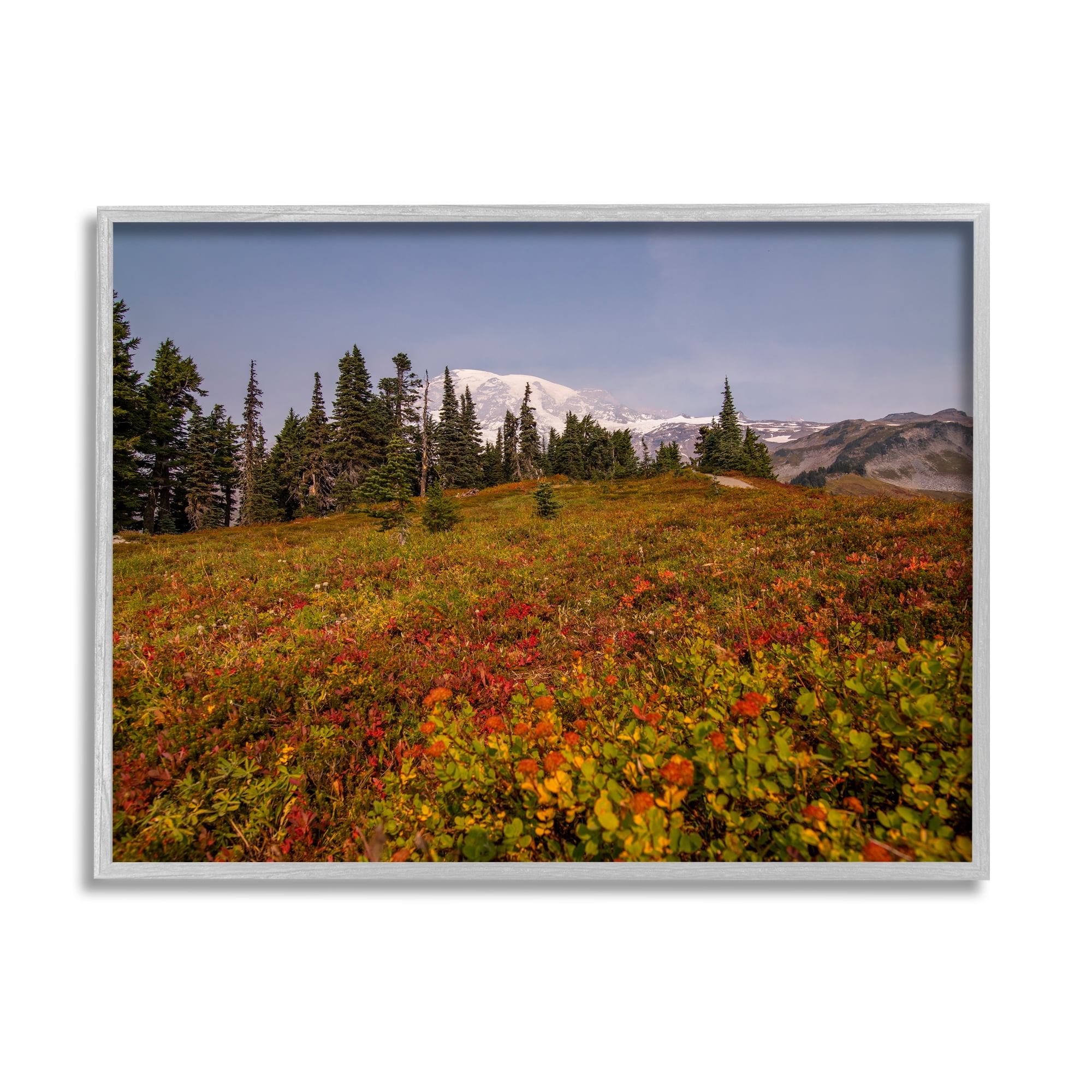 Stupell Industries Mountain Meadow Scenery Nature Photography Gray Framed Art Print Wall Art, 20 x 16