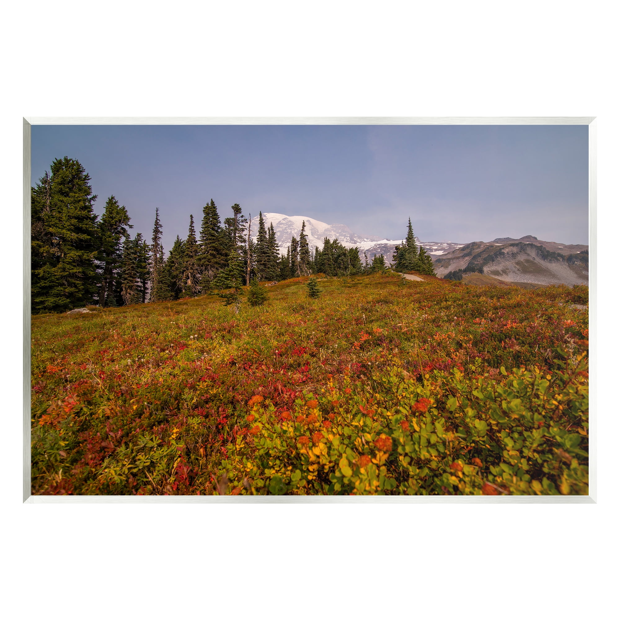 Stupell Industries Mountain Meadow Scenery Nature Photography Unframed Art Print Wall Art, 15 x 10