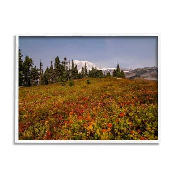 Stupell Industries Mountain Meadow Scenery Nature Photography White Framed Art Print Wall Art, 14 x 11