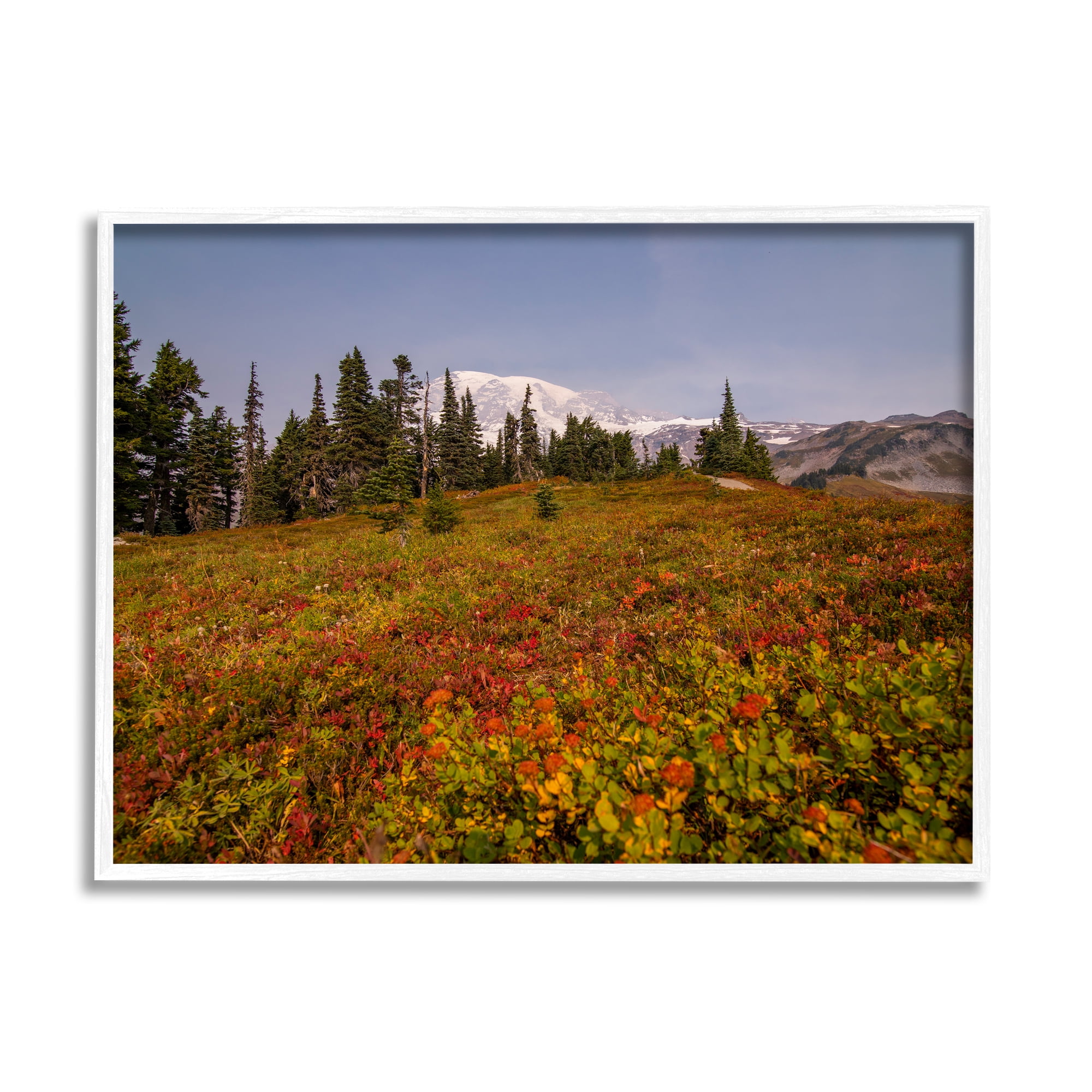 Stupell Industries Mountain Meadow Scenery Nature Photography White Framed Art Print Wall Art, 30 x 24