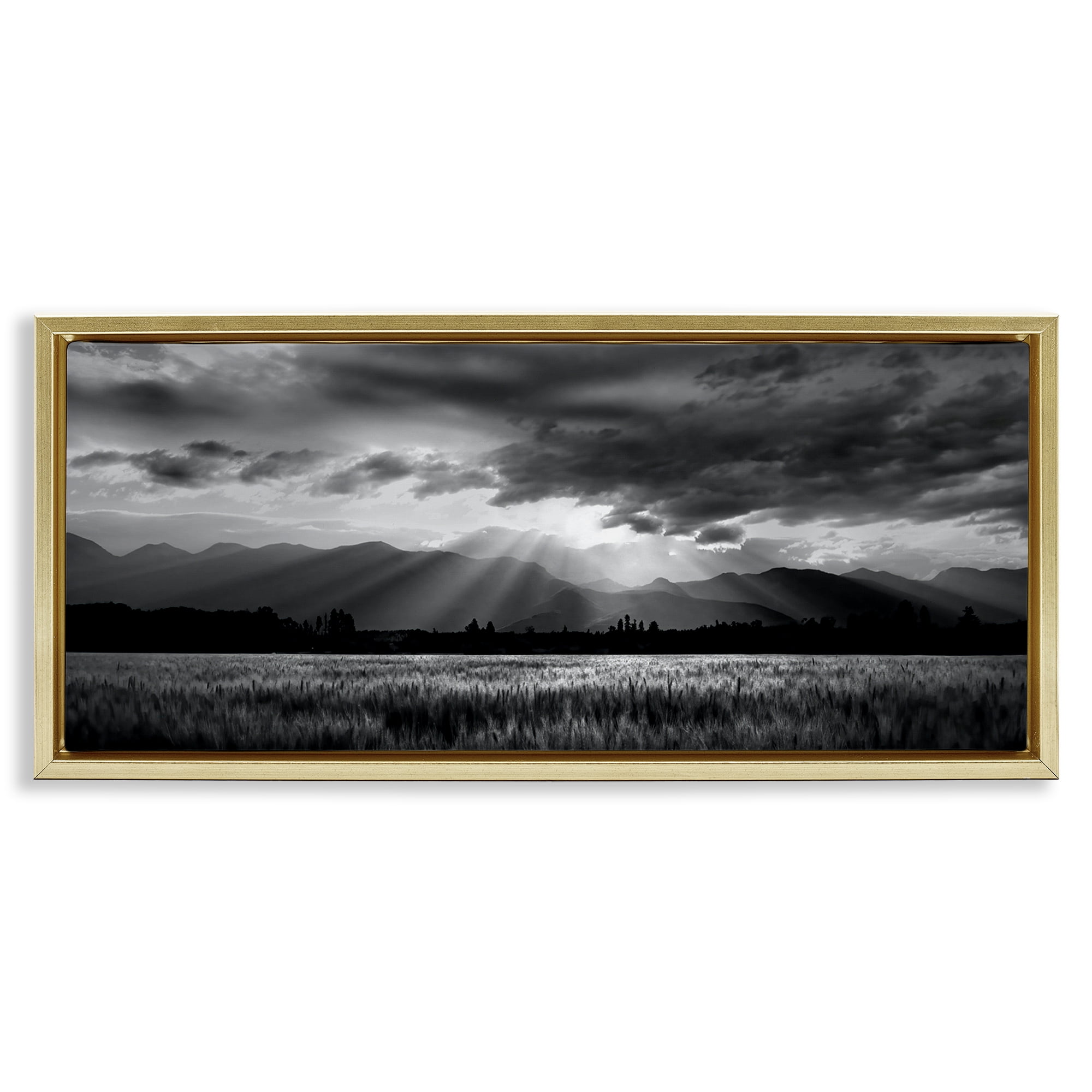 Stupell Industries Mountain Morning Sunbeams Gold Framed Floater Canvas Wall Art, design by Steve Toole