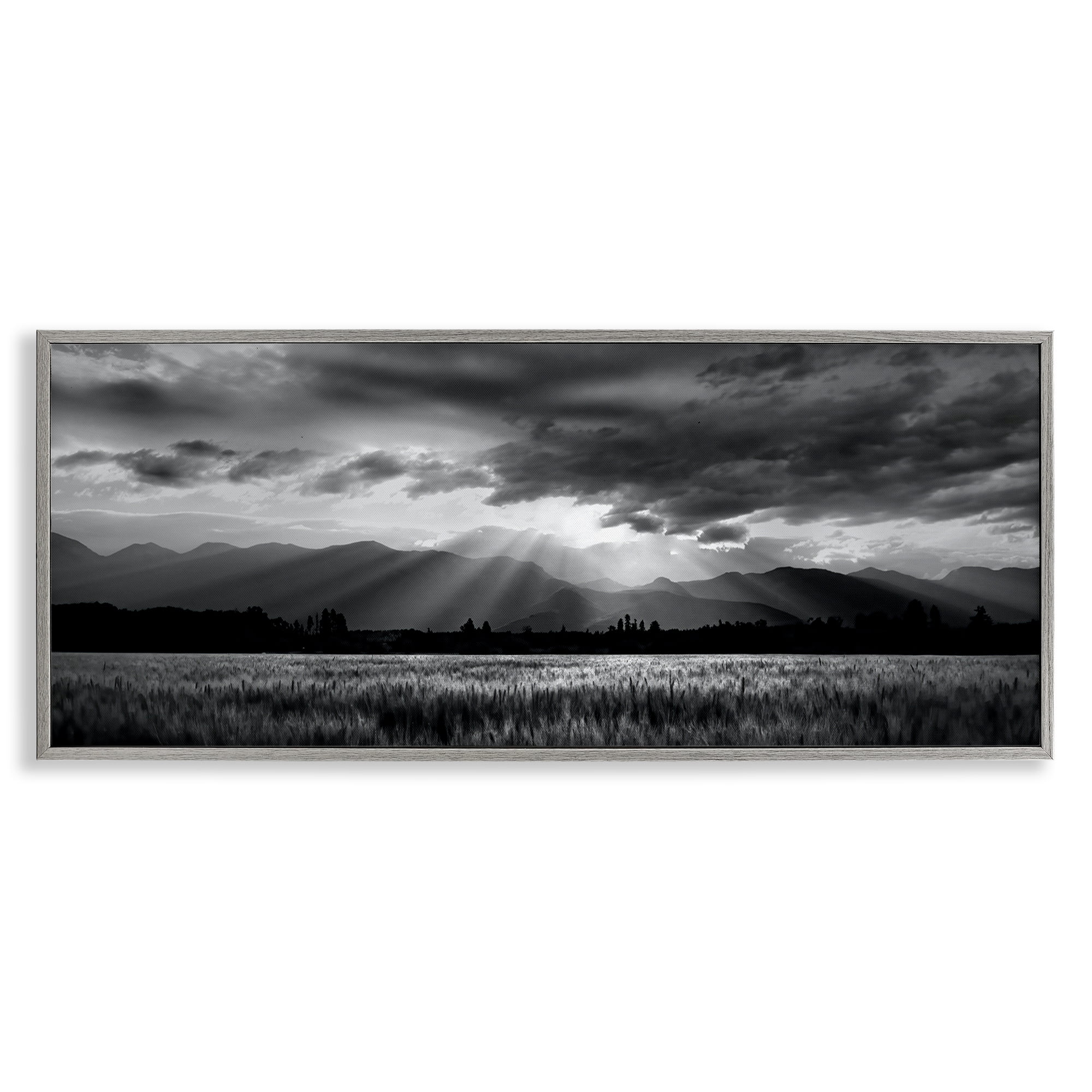 Stupell Industries Mountain Morning Sunbeams Gray Framed Giclee Art, design by Steve Toole
