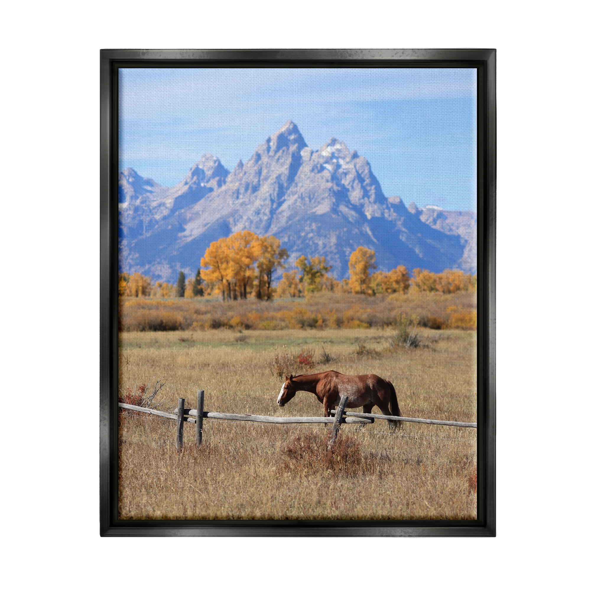 Stupell Industries Mountain Nature Horse Landscape Photography Black Floater Framed Canvas Art Print Wall Art, 25 x 31