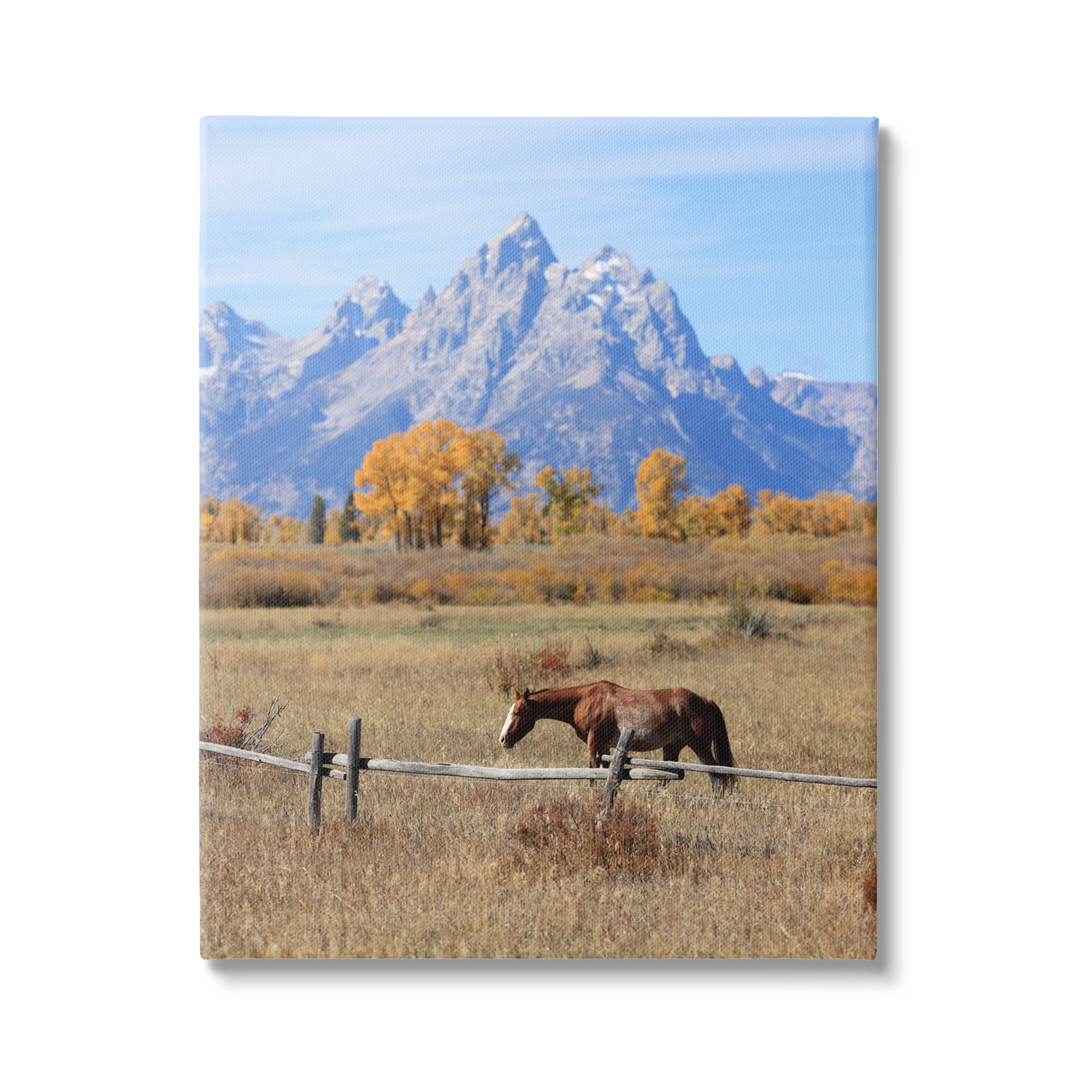 Stupell Industries Mountain Nature Horse Landscape Photography Gallery Wrapped Canvas Art Print Wall Art, 24 x 30
