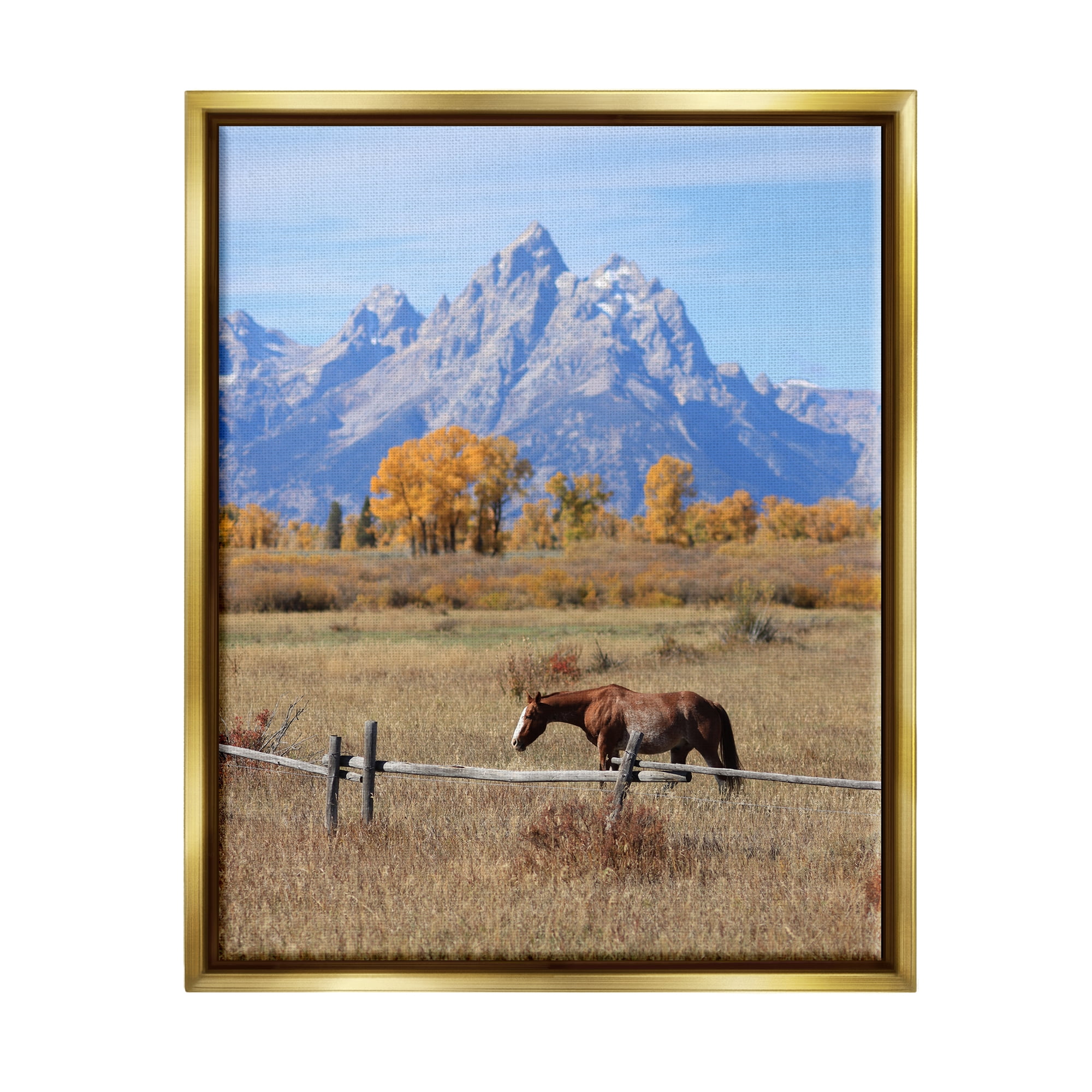 Stupell Industries Mountain Nature Horse Landscape Photography Gold Floater Framed Canvas Art Print Wall Art, 25 x 31