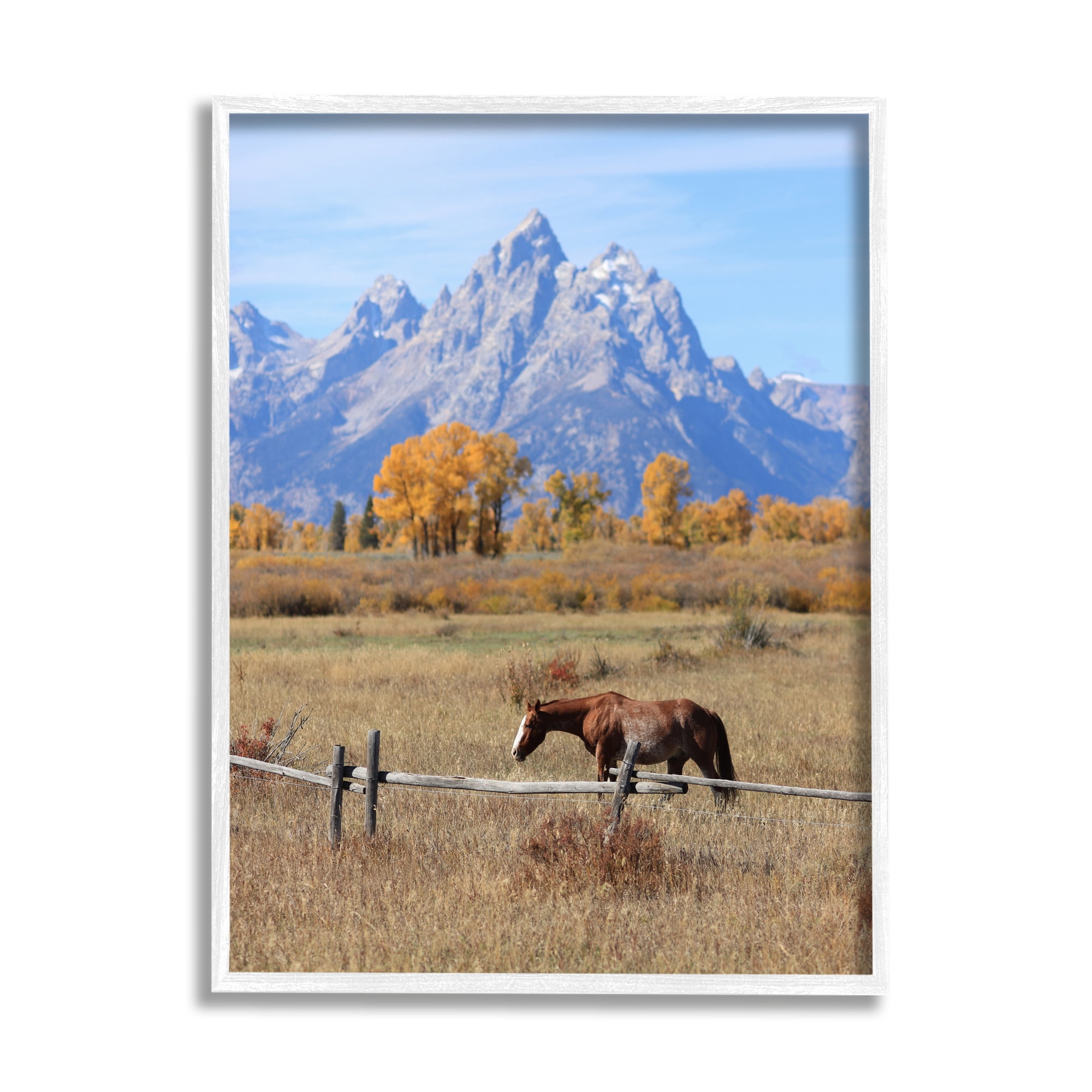 Stupell Industries Mountain Nature Horse Landscape Photography White Framed Art Print Wall Art, 11 x 14