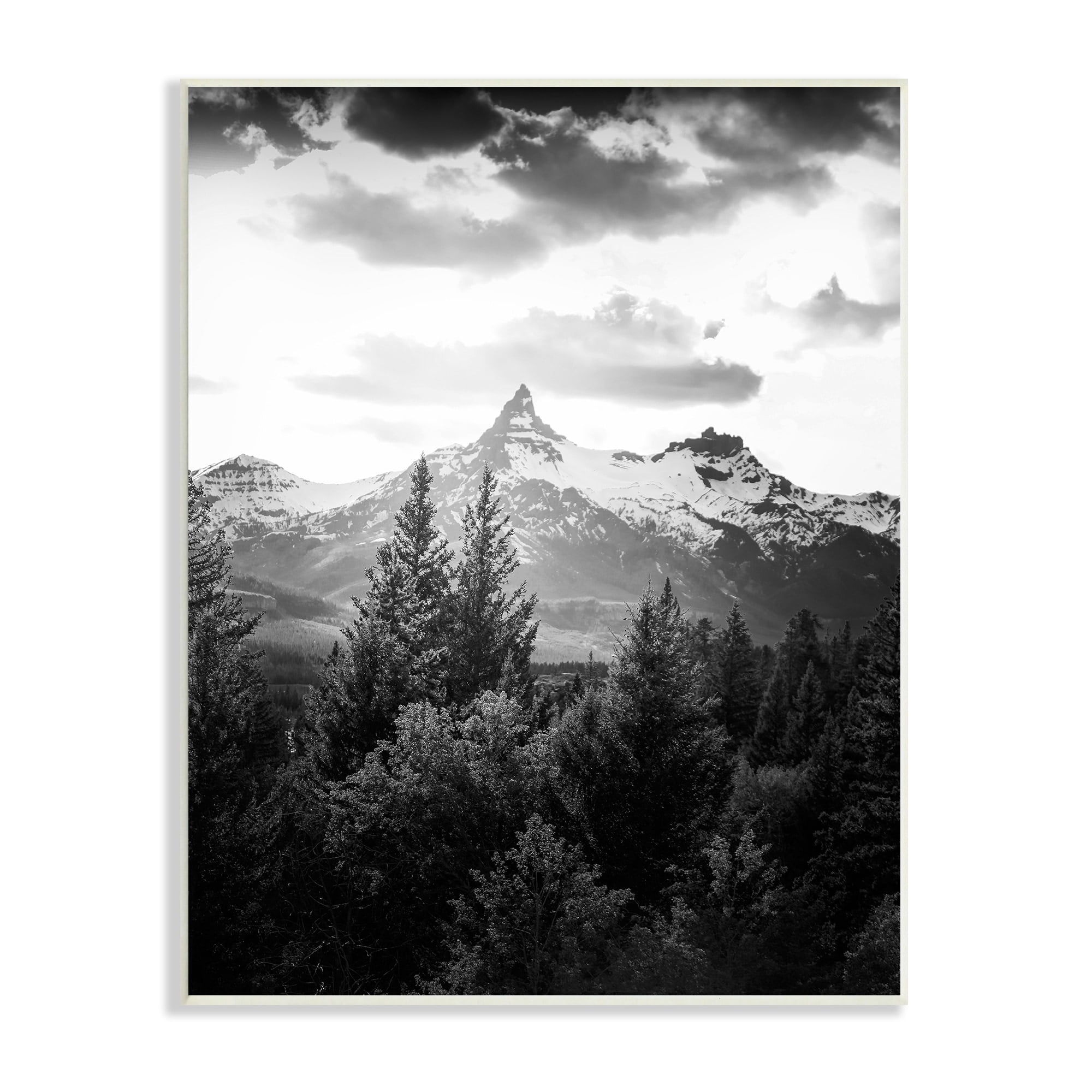 Stupell Industries Mountain Range Cloudy Sky Landscape Tall Tree Photography, 10 x 15, Design by Daniel Sproul