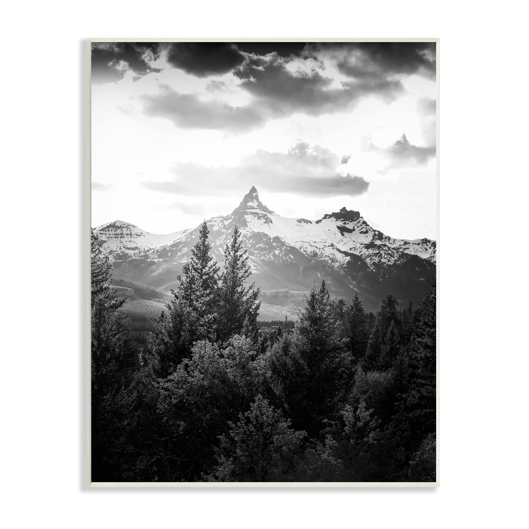 Stupell Industries Mountain Range Cloudy Sky Landscape Tall Tree Photography, 13 x 19, Design by Daniel Sproul