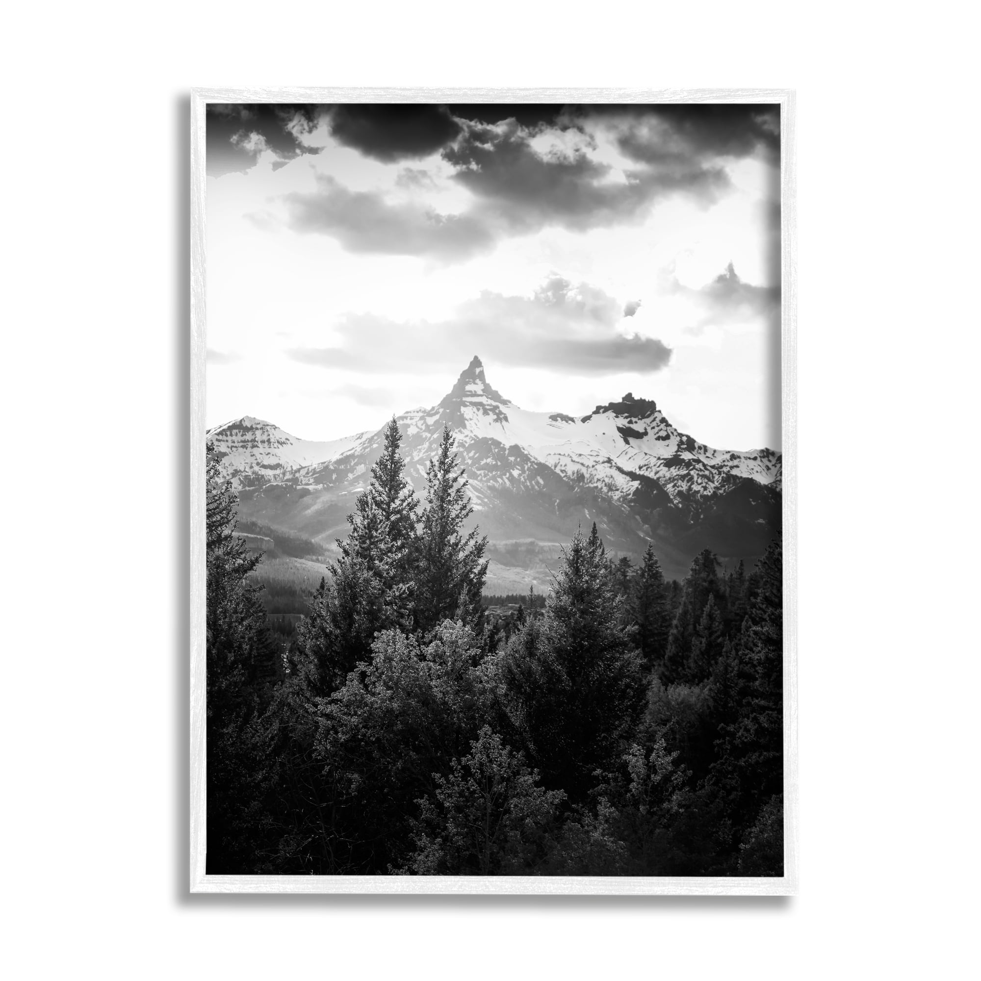 Stupell Industries Mountain Range Cloudy Sky Landscape Tall Tree Photography, 16 x 20, Design by Daniel Sproul