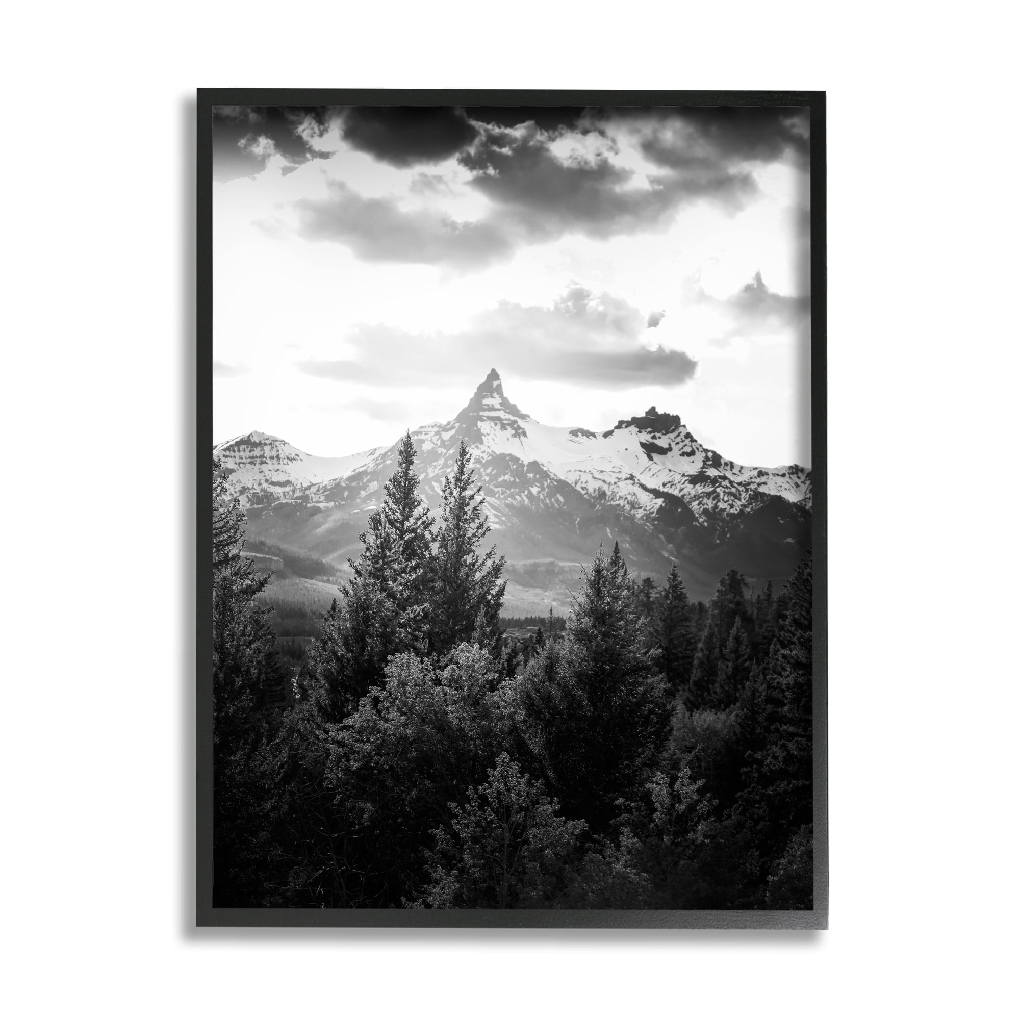 Stupell Industries Mountain Range Cloudy Sky Landscape Tall Tree Photography, 16 x 20, Design by Daniel Sproul