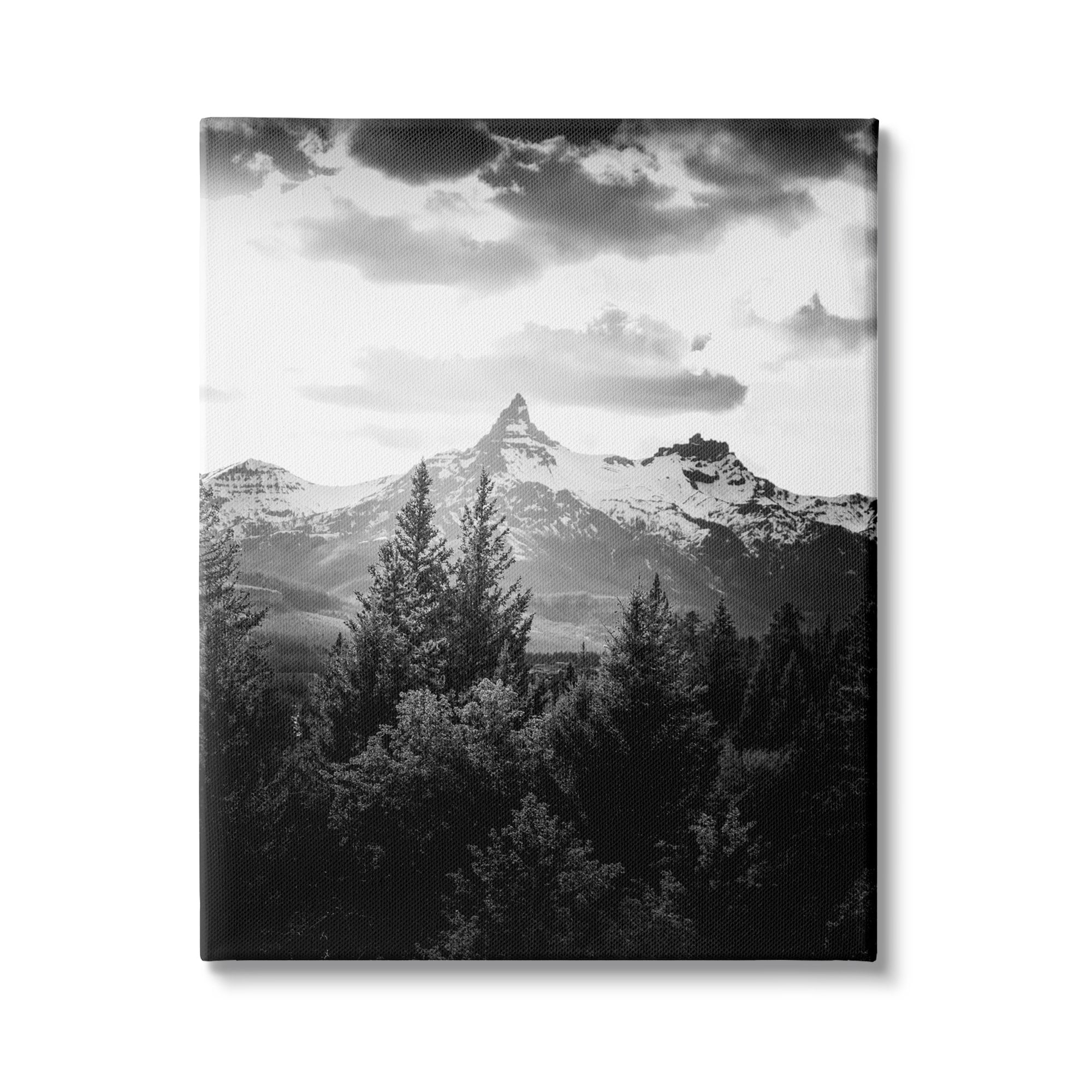 Stupell Industries Mountain Range Cloudy Sky Landscape Tall Tree Photography, 36 x 48, Design by Daniel Sproul