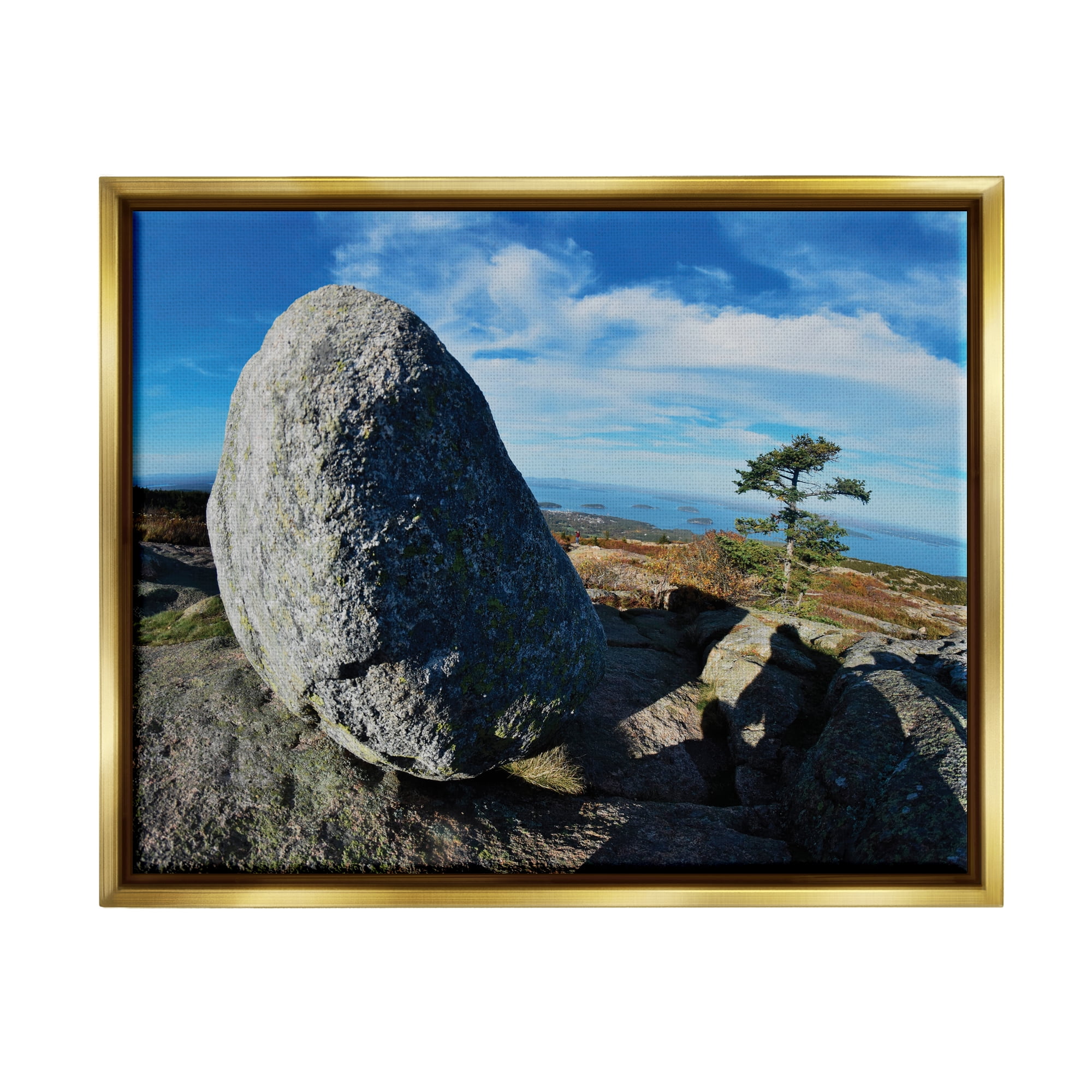 Stupell Industries Mountain View Landscape Nature Photography Gold Floater Framed Art Print Wall Art, 31 x 25