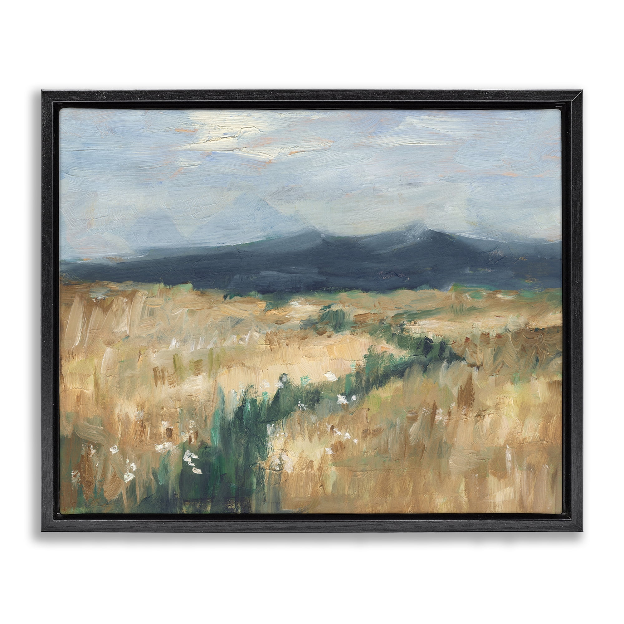 Stupell Industries Mountainous Trail Landscape Landscape Painting Black Floater Framed Art Print Wall Art, 21 x 17