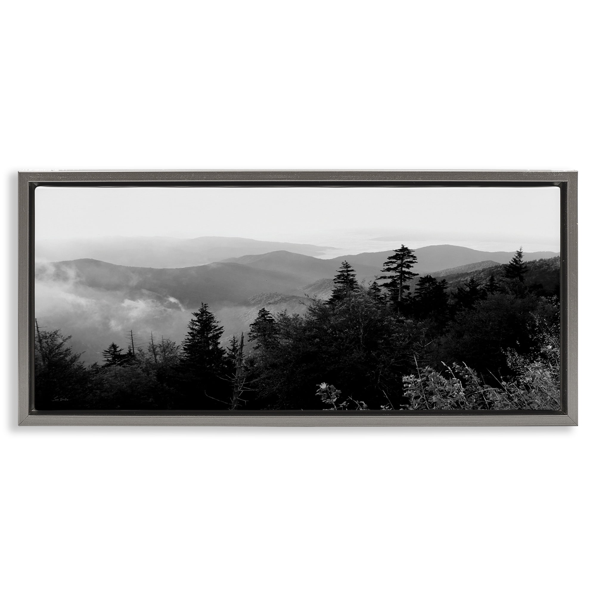 Stupell Industries Mountainous Trees Horizon Landscape & Nature Photography Gray Floater Framed Canvas Art Print Wall Art, 31 x 14