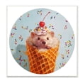 thumbnail image 1 of Stupell Industries Mouse with Cherry Desert Ice Cream Cone Painting Designed by Lucia Heffernan, 1 of 6
