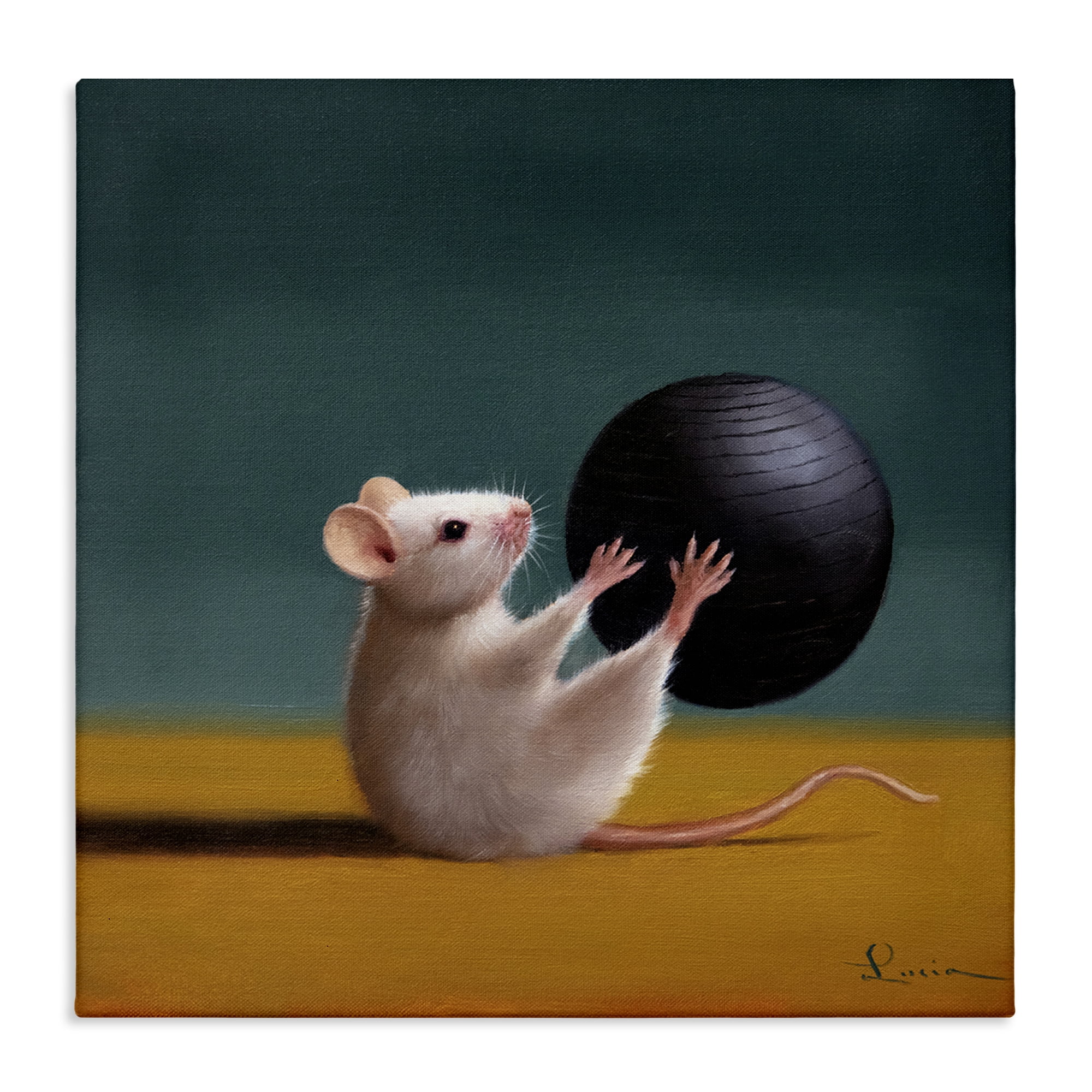 Stupell Industries Mouse with Exercise Ball Animals & Insects Painting Gallery Wrapped Canvas Art Print Wall Art, 24 x 24