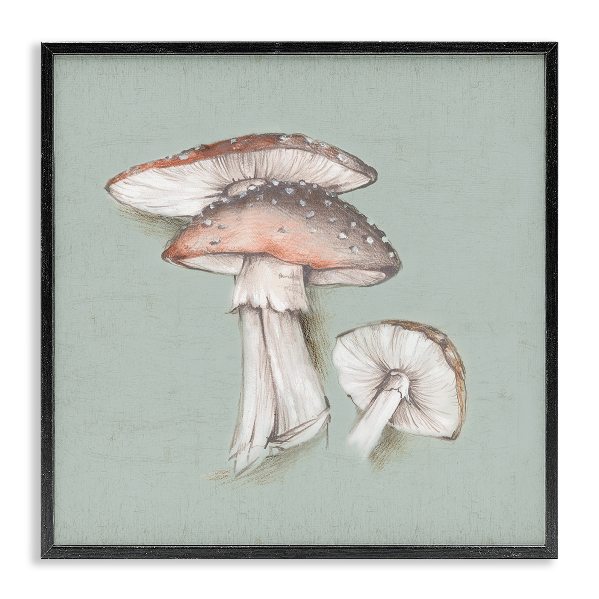 Stupell Industries Mushroom Bunch Drawing Plants & Flowers Painting Black Framed Art Print Wall Art, 24 x 24