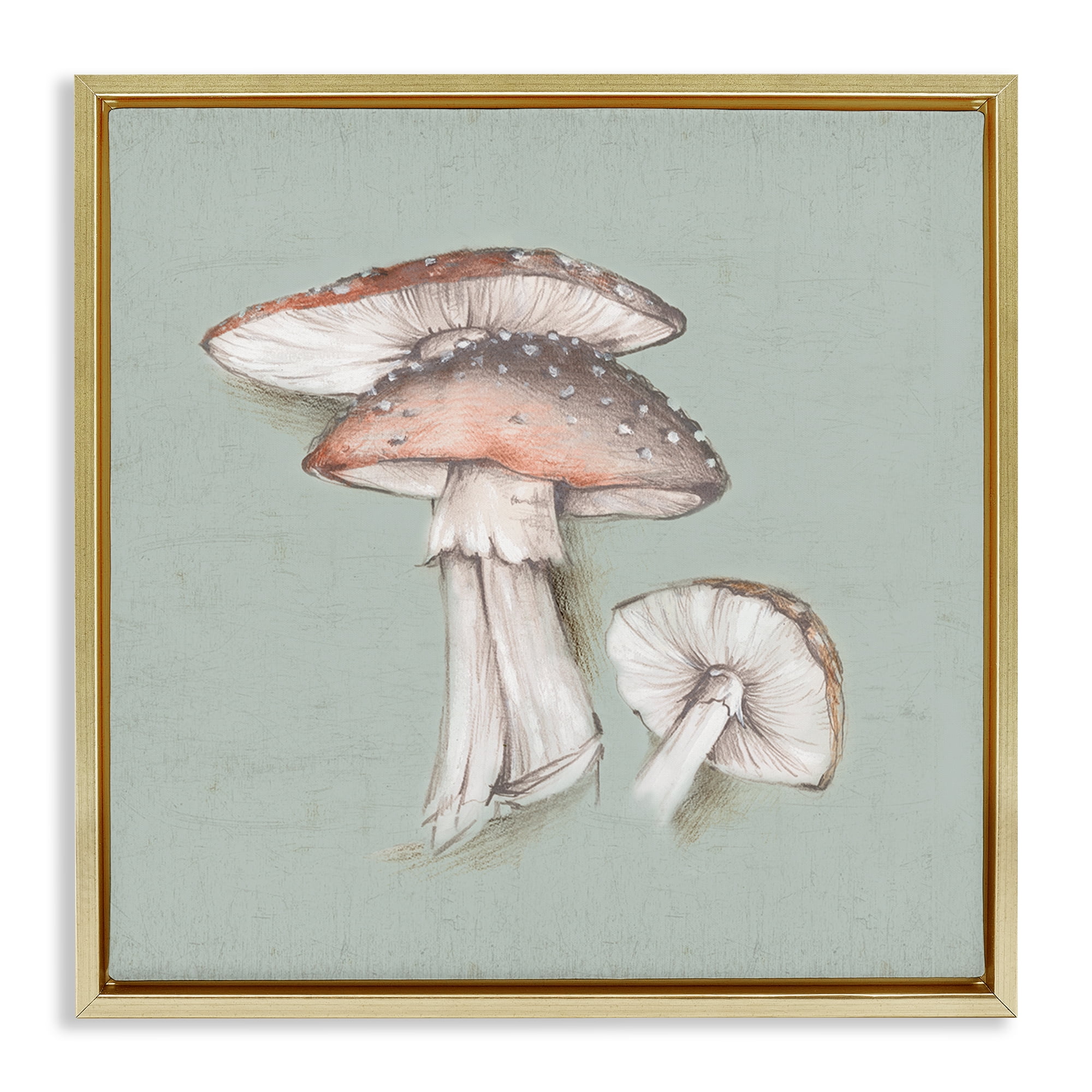 Stupell Industries Mushroom Bunch Drawing Plants & Flowers Painting Gold Floater Framed Canvas Art Print Wall Art, 18 x 18