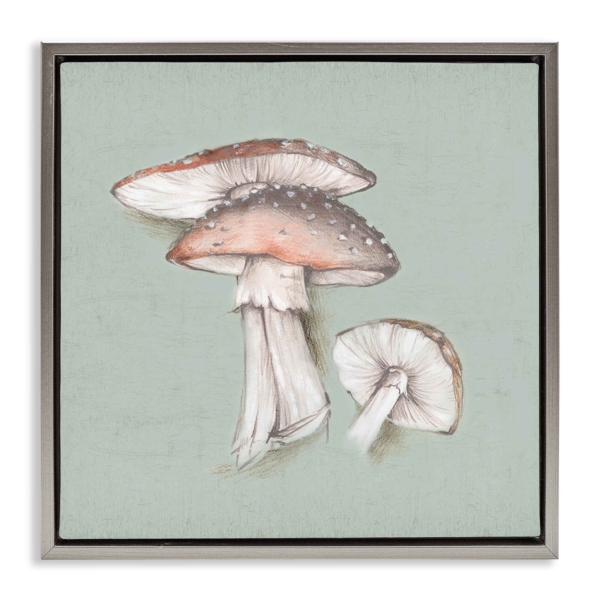 Stupell Industries Mushroom Bunch Drawing Plants & Flowers Painting Gray Floater Framed Canvas Art Print Wall Art, 25 x 25