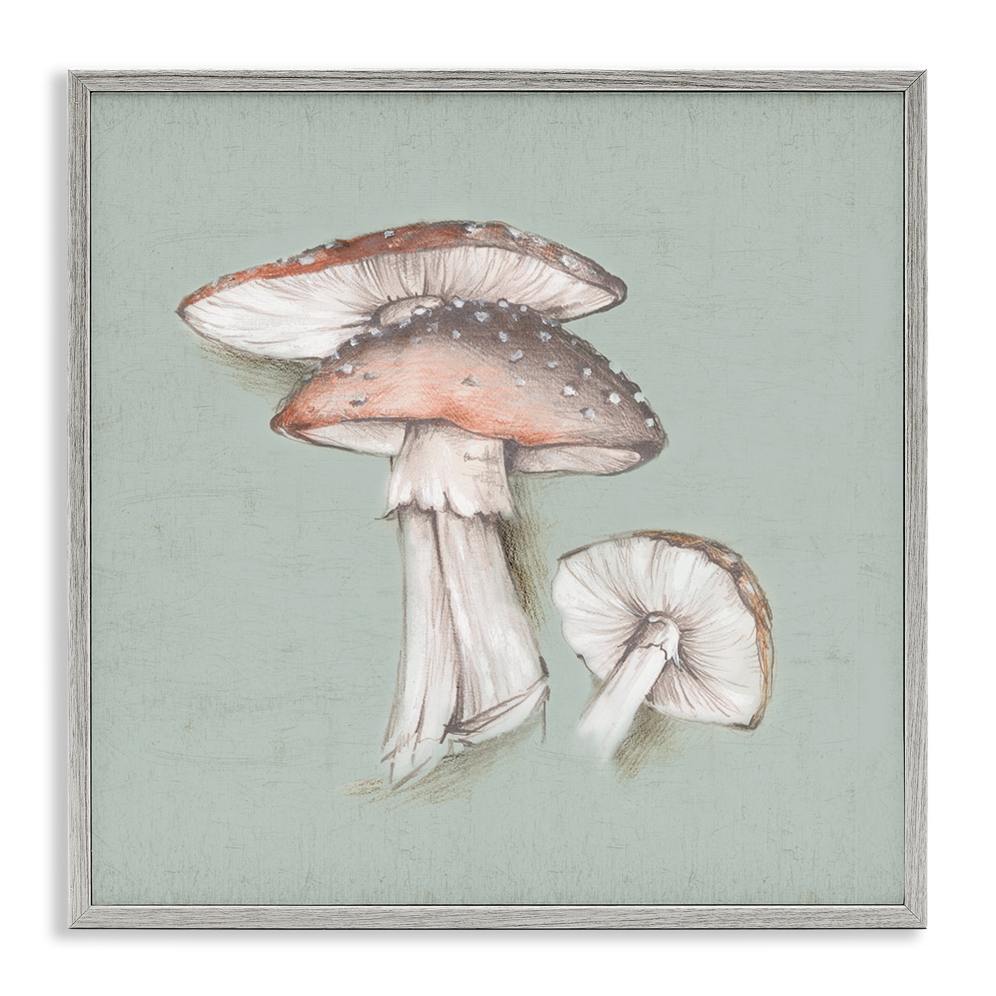 Stupell Industries Mushroom Bunch Drawing Plants & Flowers Painting Gray Framed Art Print Wall Art, 17 x 17