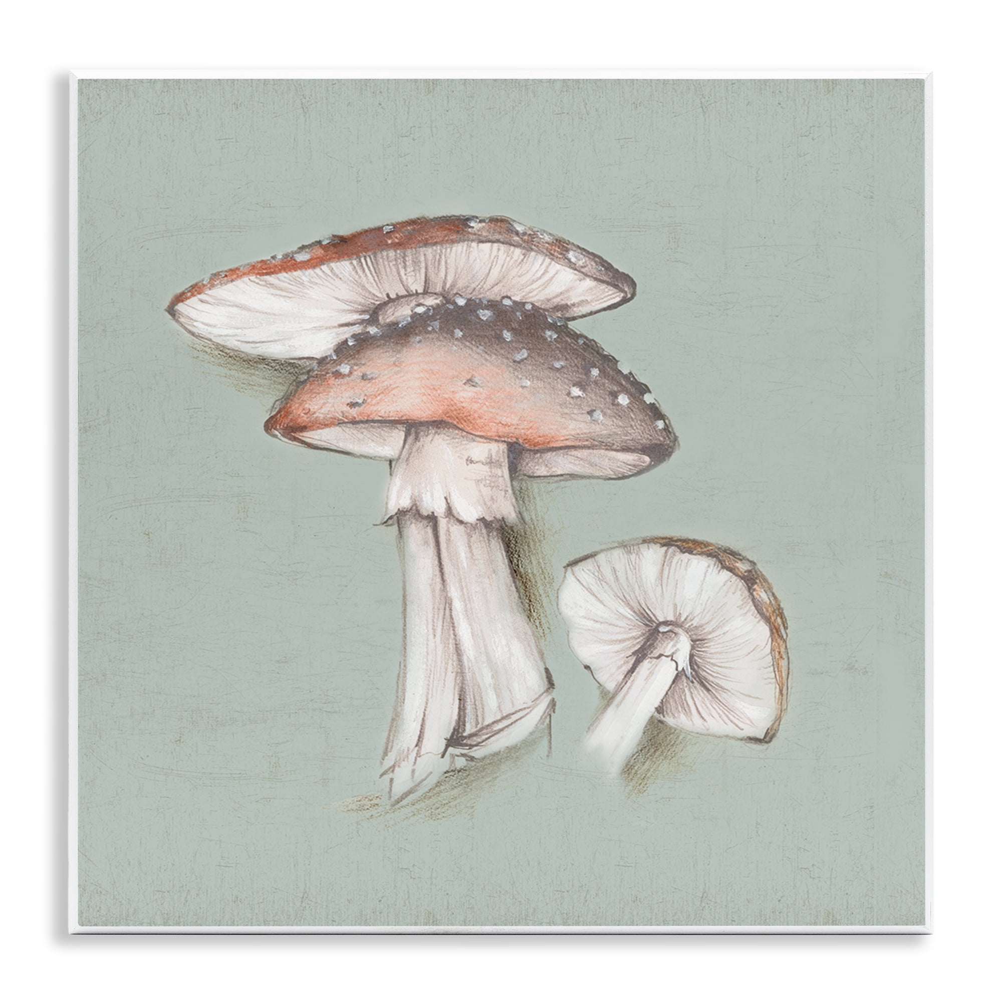 Stupell Industries Mushroom Bunch Drawing Plants & Flowers Painting Unframed Art Print Wall Art, 12 x 12