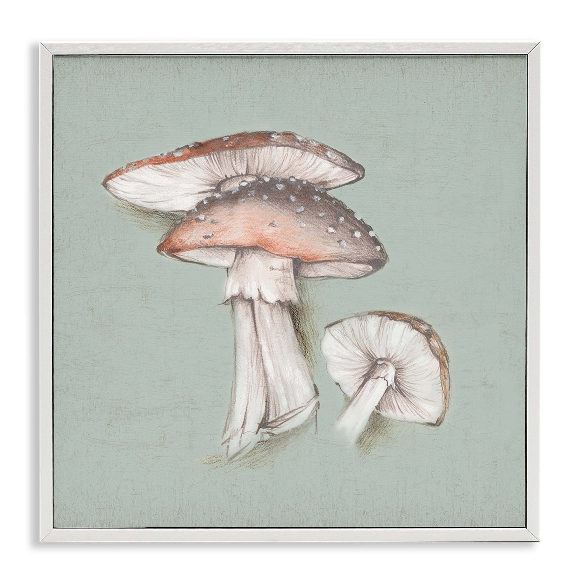 Stupell Industries Mushroom Bunch Drawing Plants & Flowers Painting White Framed Art Print Wall Art, 17 x 17