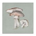 thumbnail image 1 of Stupell Industries Mushroom Bunch Drawing Plants & Flowers Painting Wrapped Canvas Art Print Wall Art, 17 x 17, 1 of 8