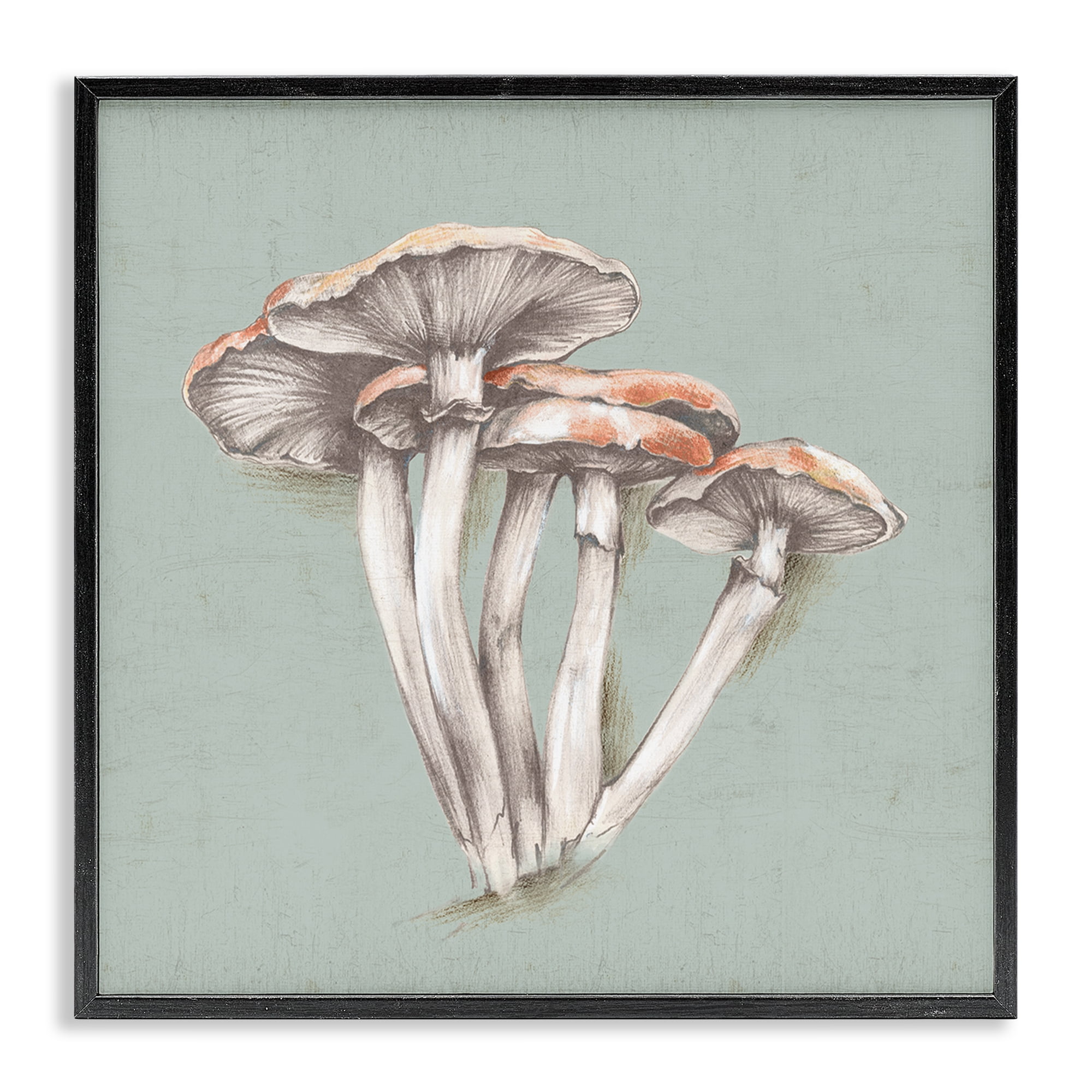 Stupell Industries Mushroom Bundle Drawing Plants & Flowers Painting Black Framed Art Print Wall Art, 17 x 17